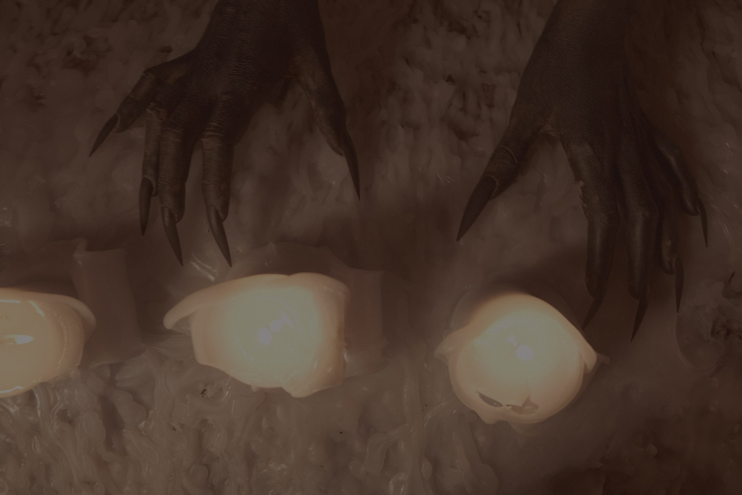 Russian Hton. Фотограф Настя Лев