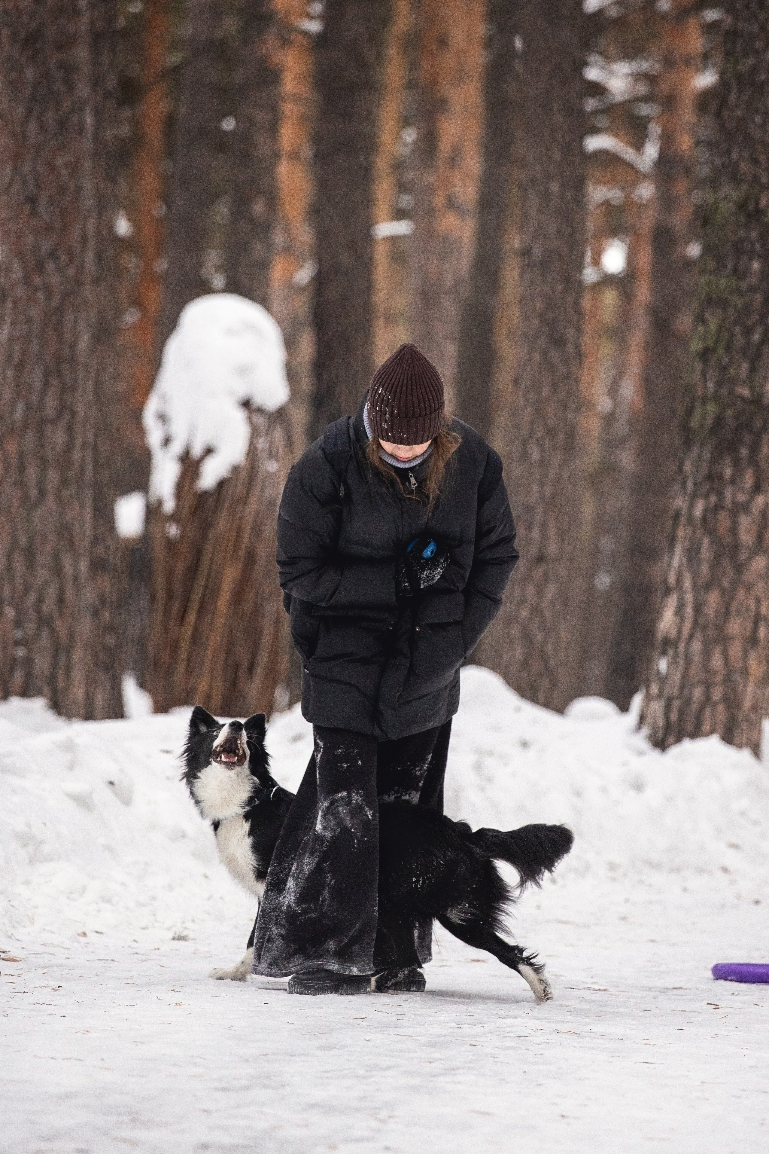 Арина и Грейс. YULA KOLESOVA | Фотограф — Анималист | Художник | Тюмень