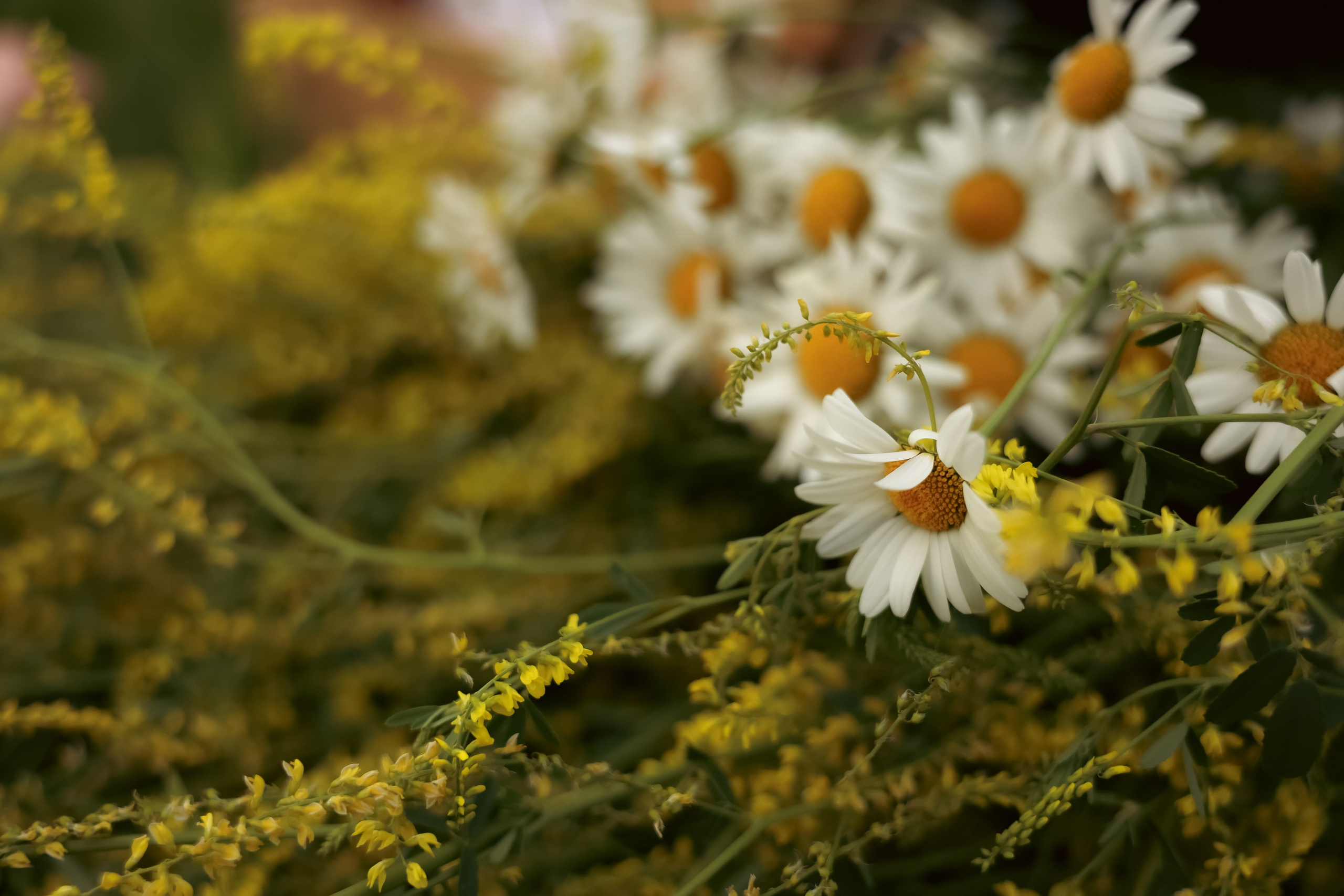 Большая стирка. Ваш семейный newborn и lifestyle фотограф в СПБ Наталья Журавлева