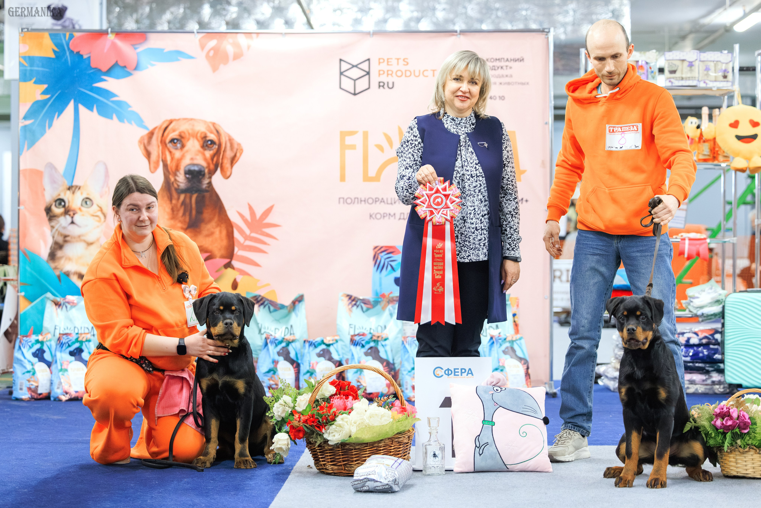 Сфера 08 и 10.03.2024 2хмоно ротвейлеров+2хмоно сао. Фотограф-анималист Юлия Германика