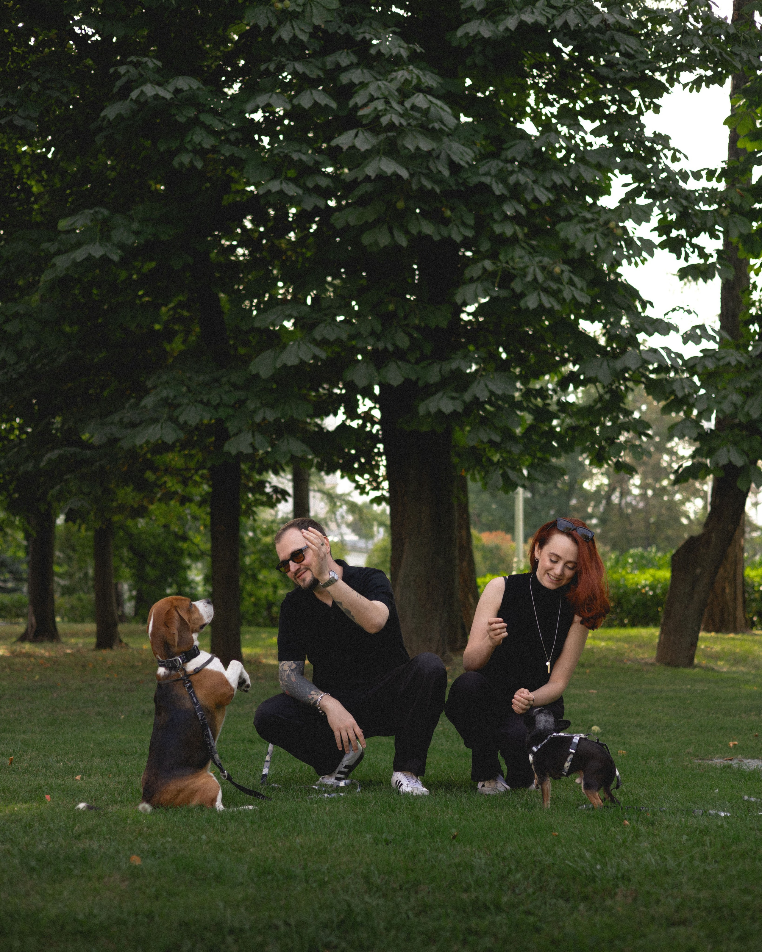 Вика & Давид. Фотограф Москва