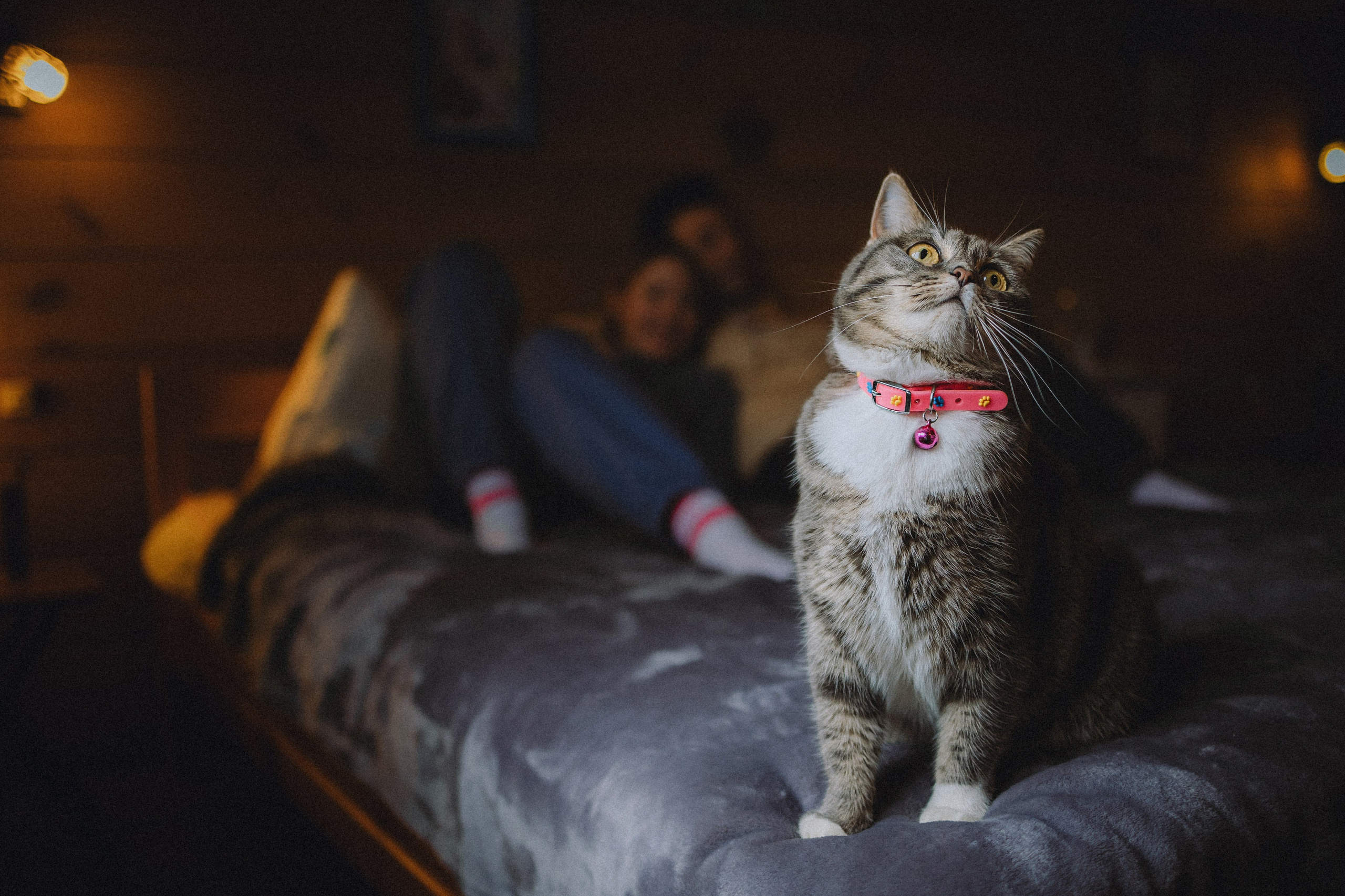 Леброн, Муся и их семья