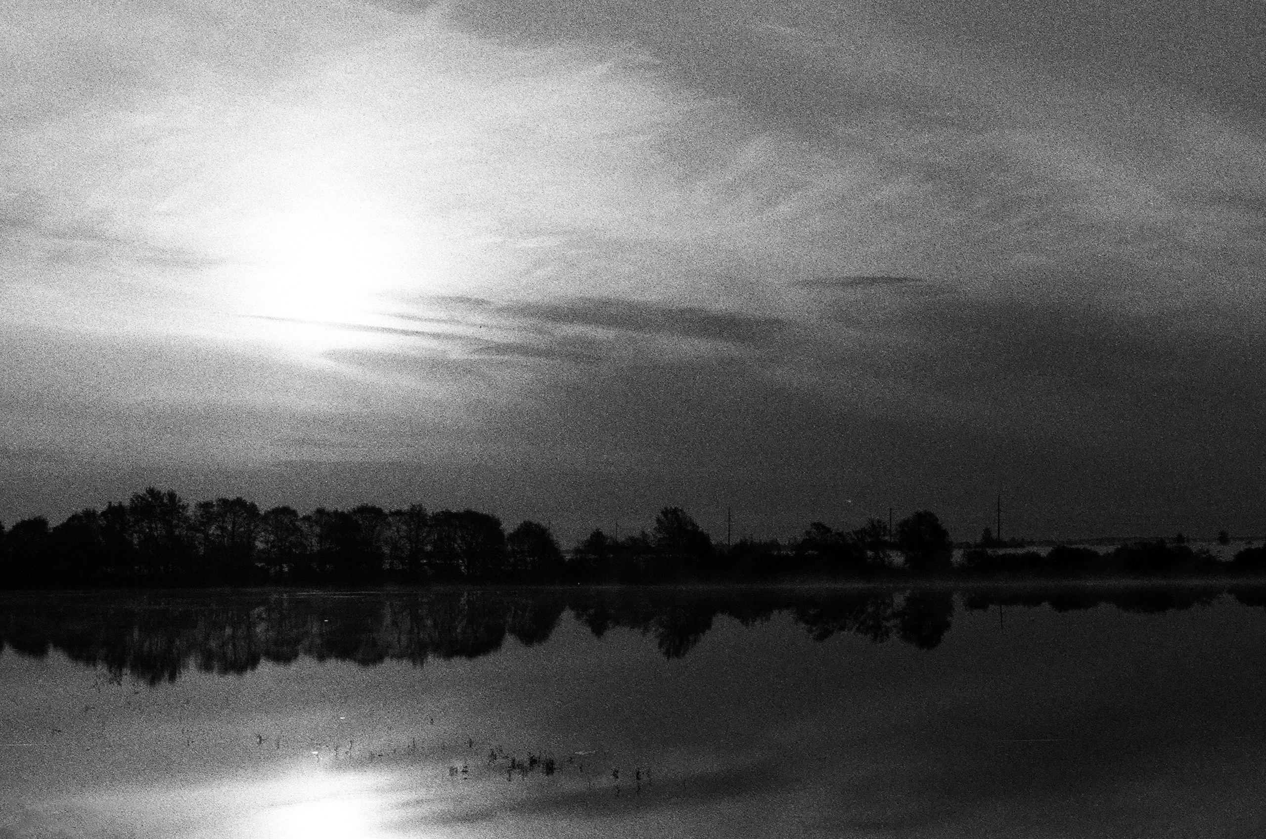 Натура. Фотограф — Маслеников Константин