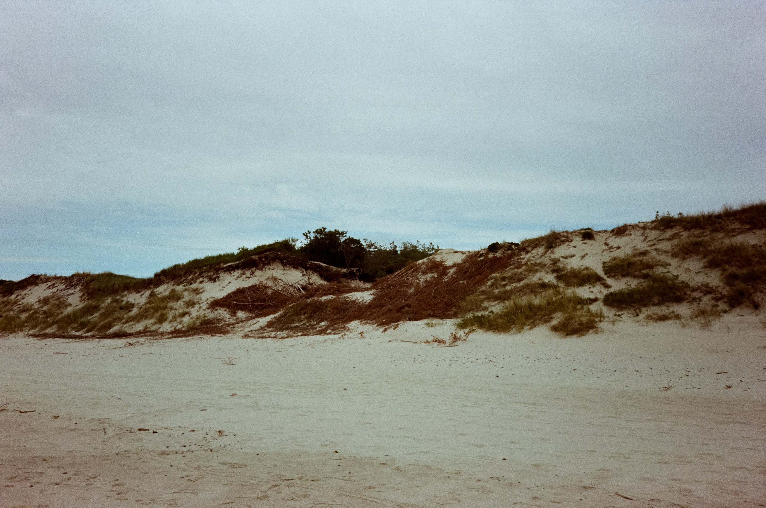 Куршская коса и Куршский залив. Море и дюны. Фотограф-документалист Мария Осокина