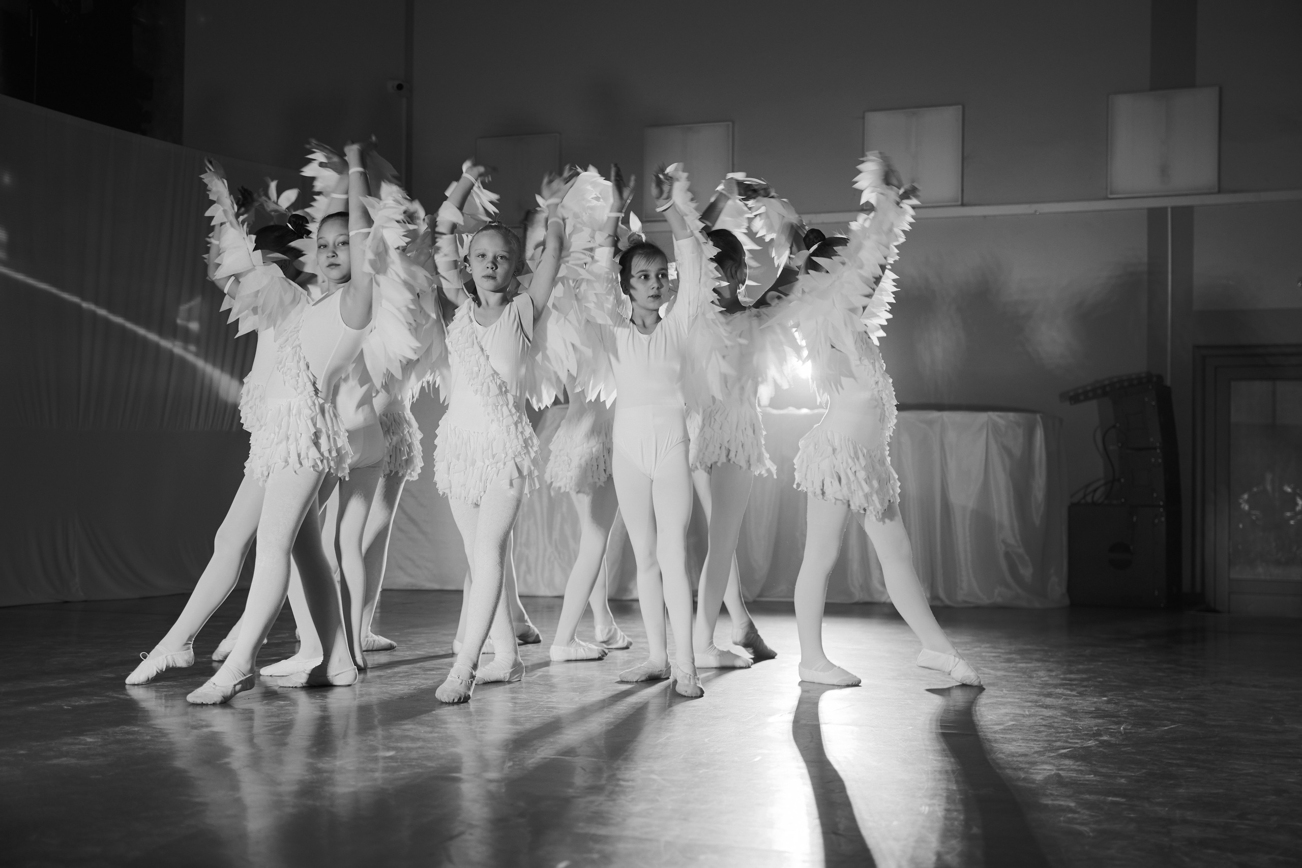 Концерт «Семь чудес и Света». Свадебный фотограф в Александрове