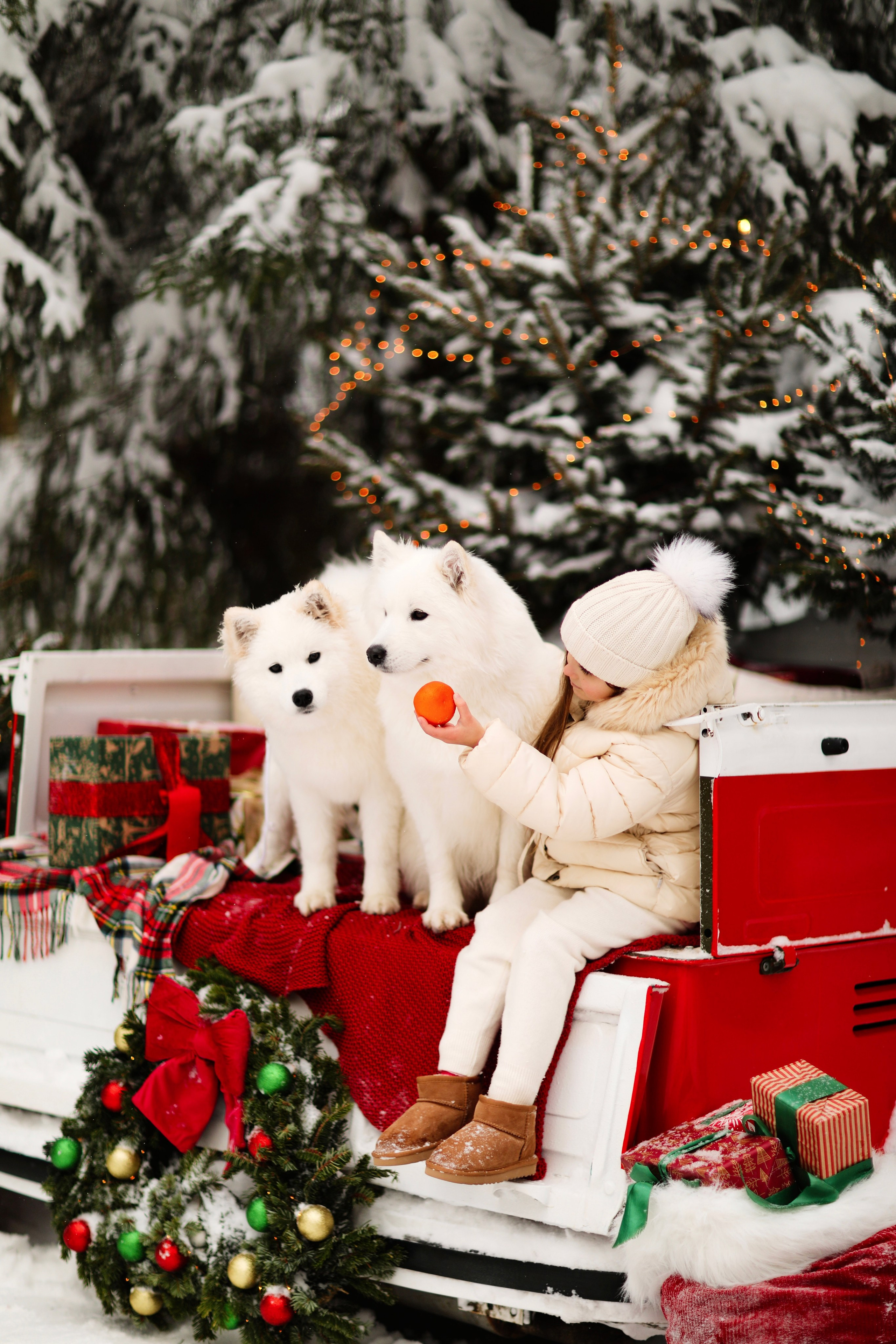 Winter Tale (зимняя детская фотосессия с самоедами). Семейный и детский фотограф Москва