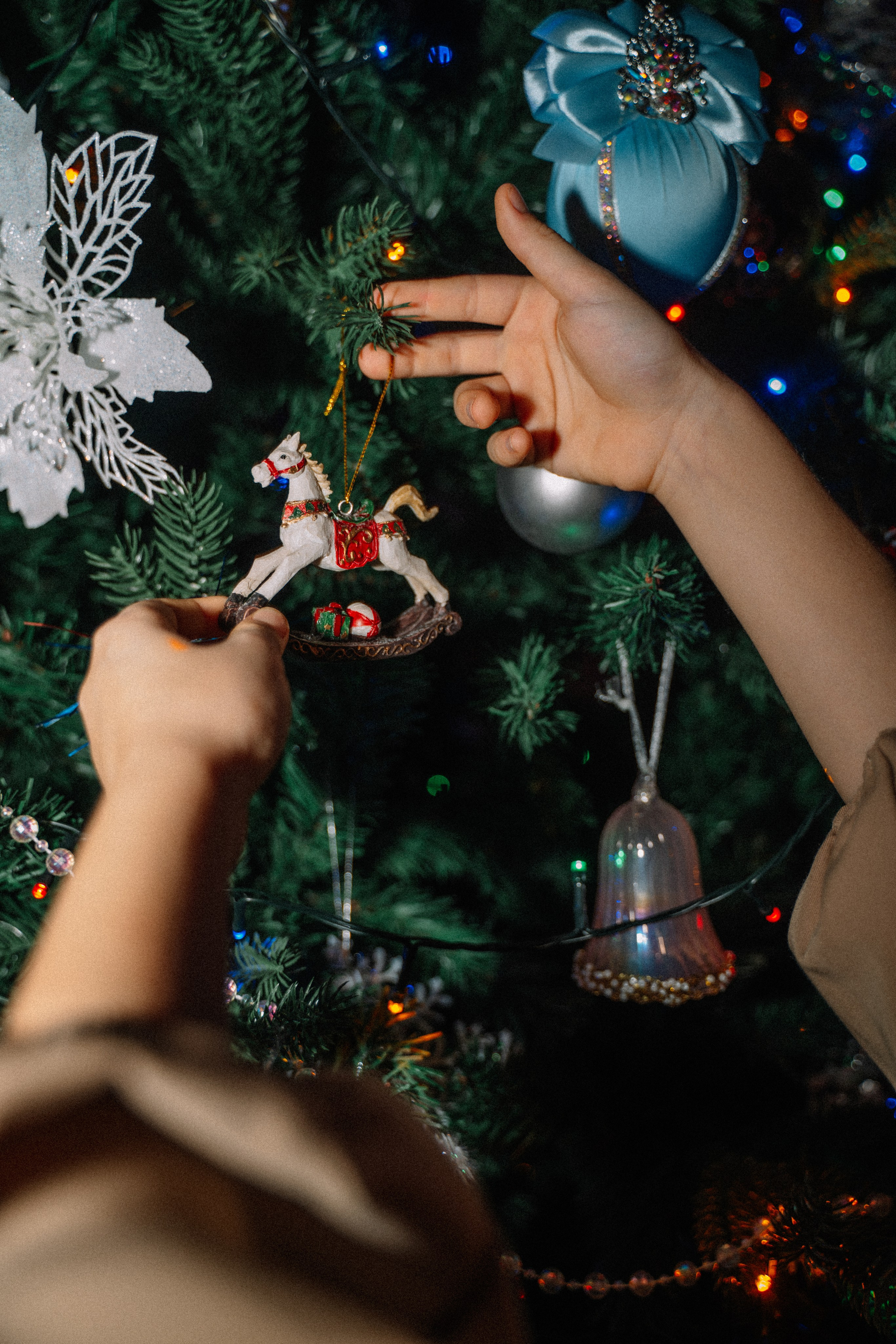 Чудо. FotoTanya. Раменское/Жуковский/Бронницы