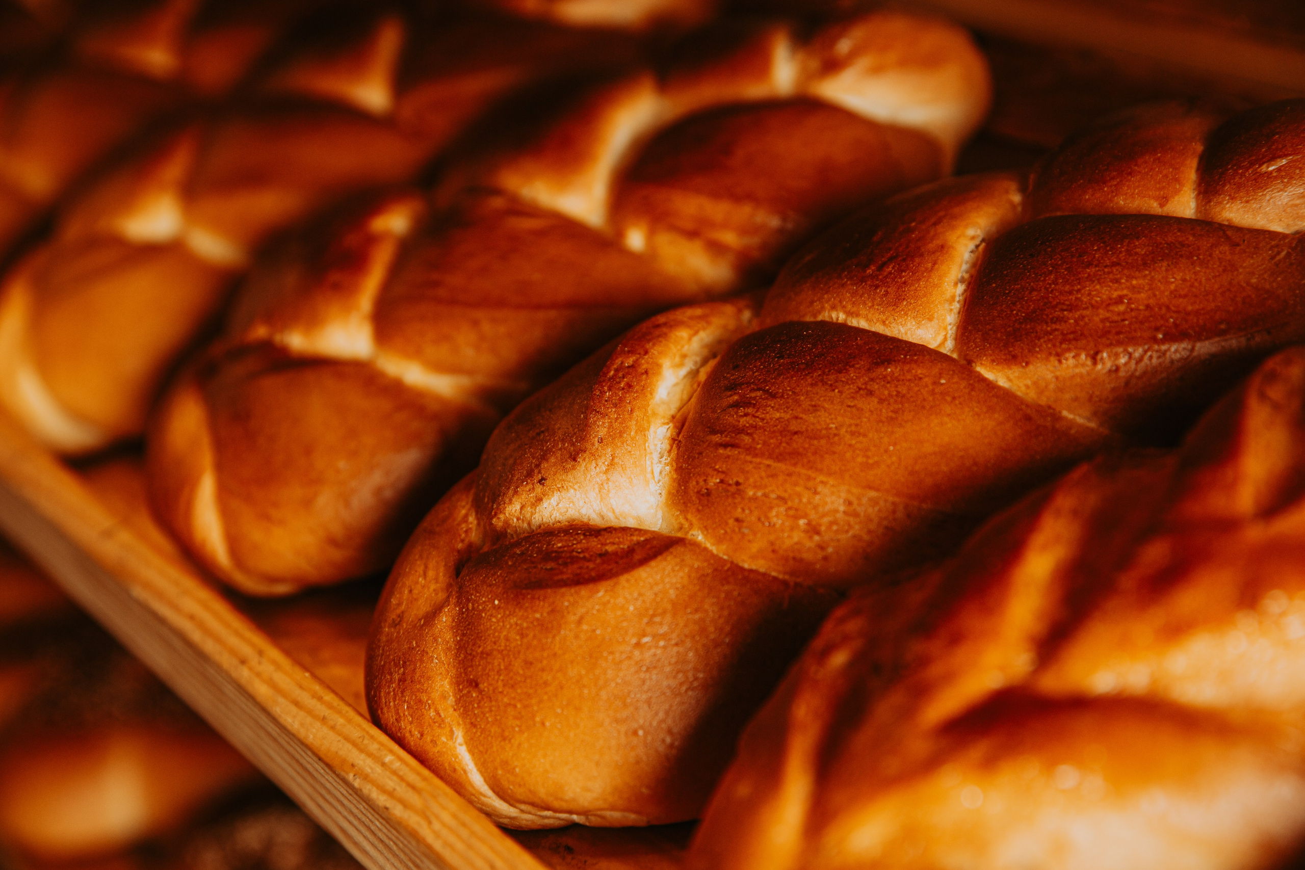 Пекарня Семейная. Свадебный и репортажный фотограф в Ярославле Евгений Шовдин