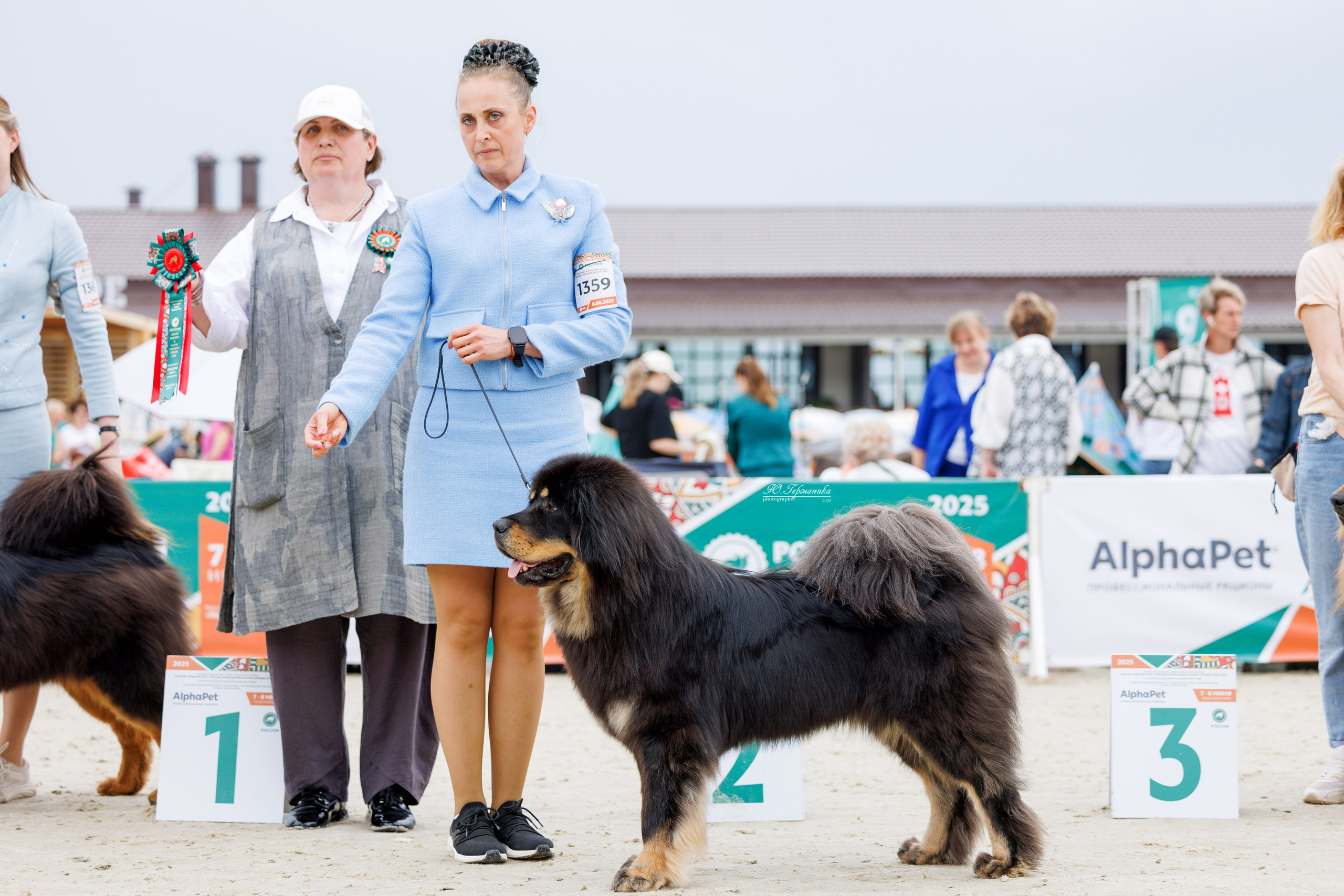 РОССИЯ 7-8.06.2025. Фотограф-анималист Юлия Германика