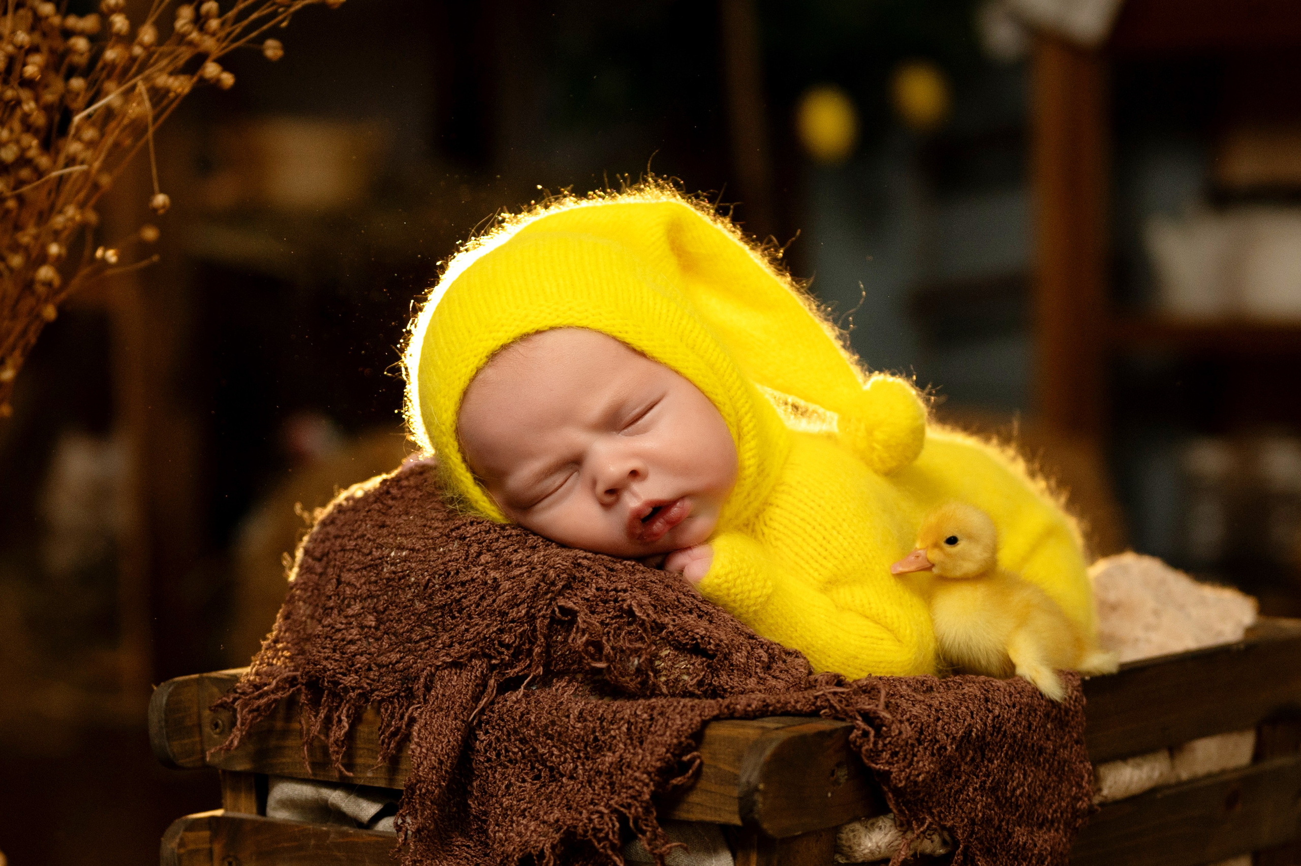 Павлуша и утята. Фотограф новорожденных, семейный детский в Тюмени Татьяна Морозова