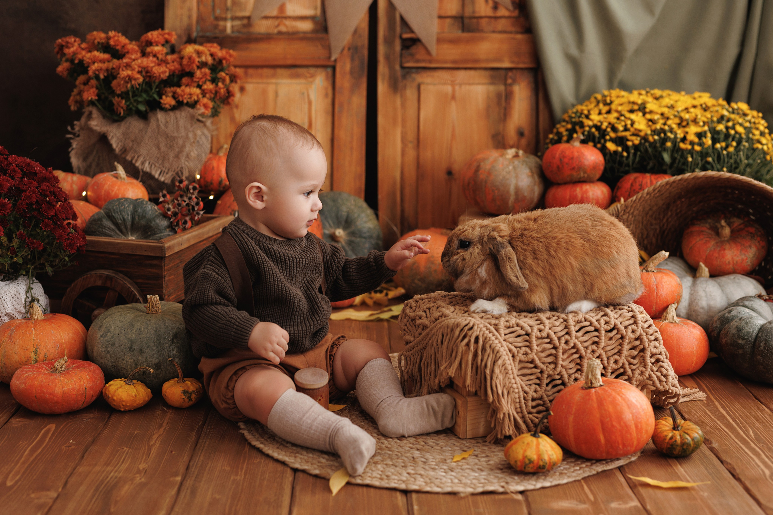 Фотопроекты. Профессиональная детская и семейная фотостудия в Краснодаре