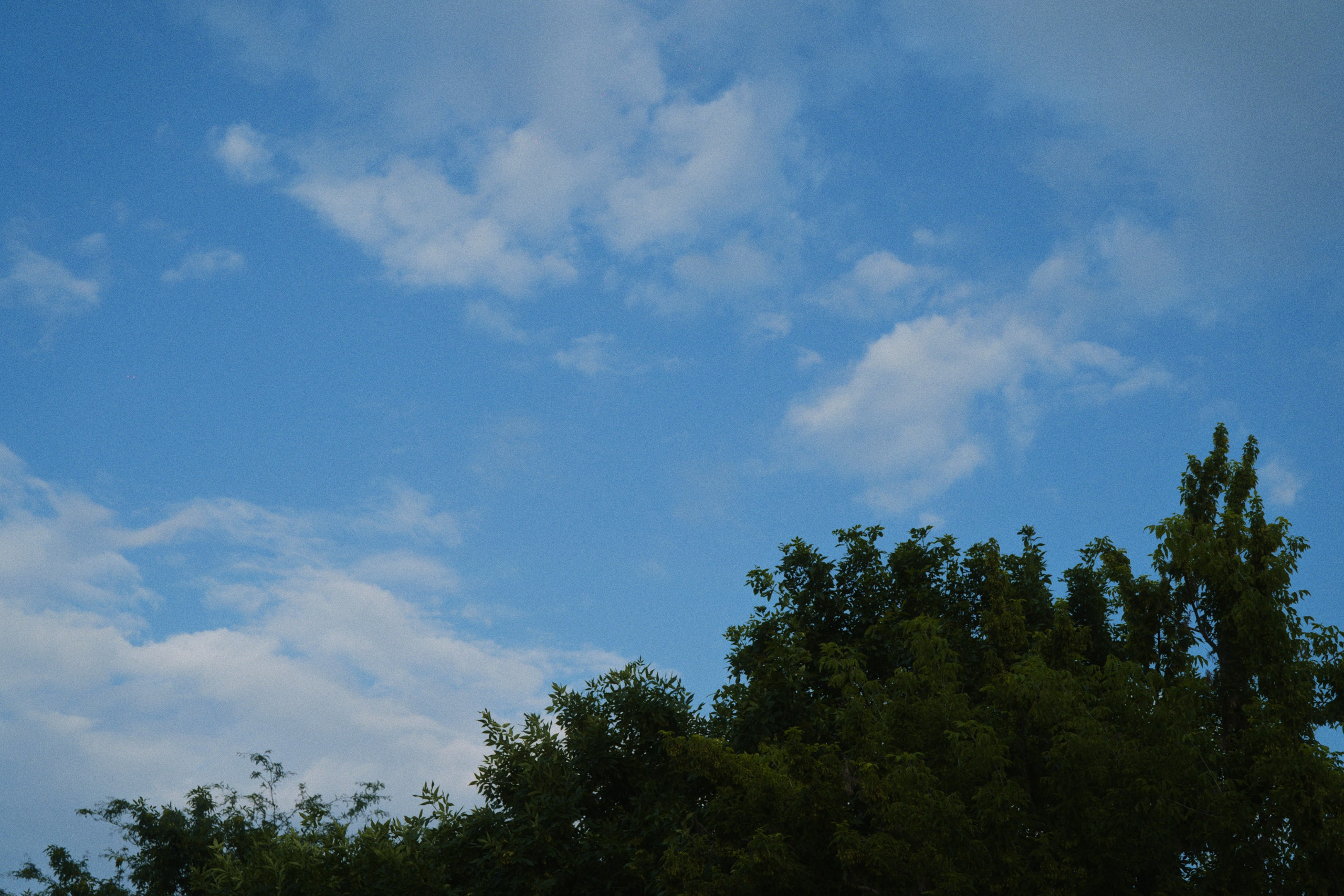 Fasenda. Фотограф Юрин Евгений