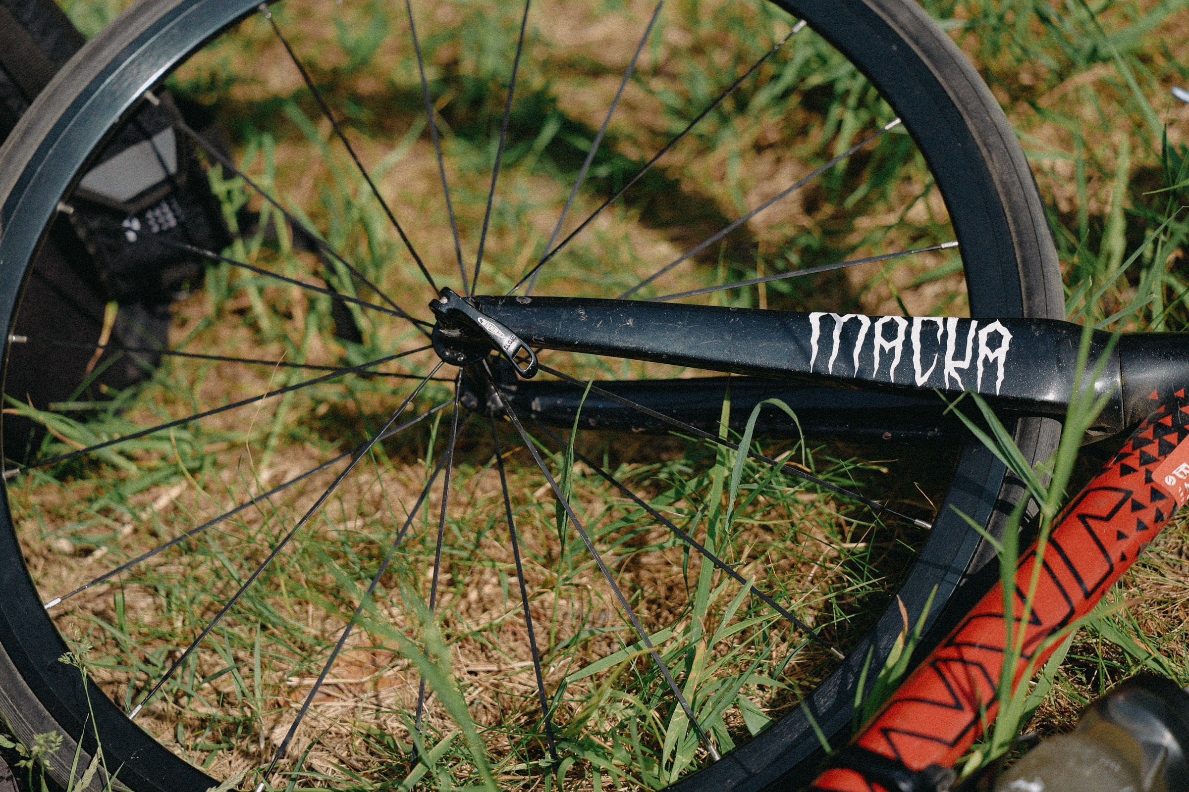 /РЕПОРТАЖ/ Велогонка Тур Де Селищи 2024. Свадебный фотограф Великий Новгород Станислав Кособудский