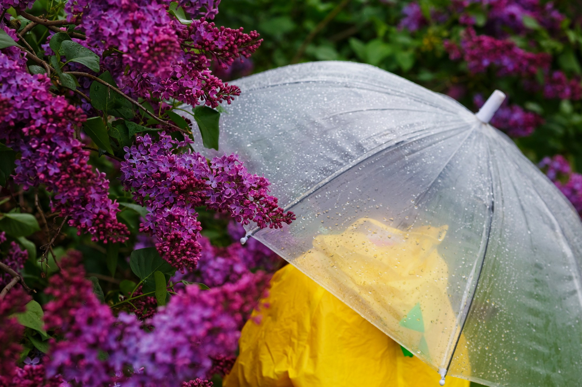 . Фотограф в Москве и Одинцово