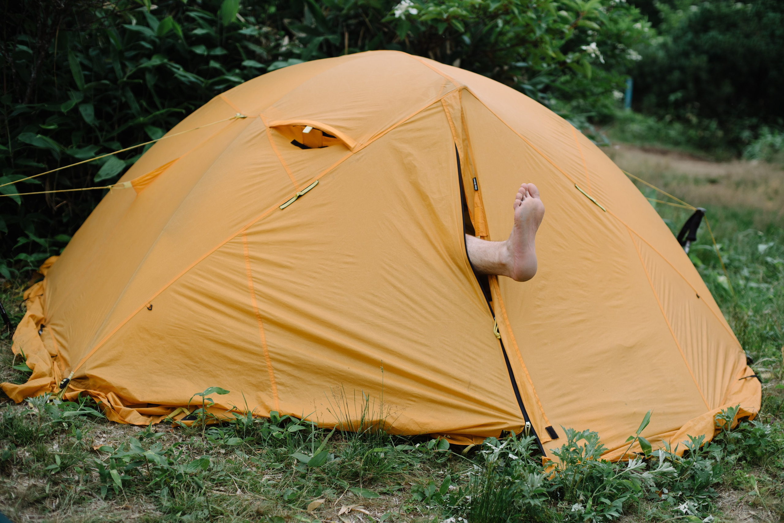 Сахалин и Курильские острова. Фотограф Алиса Калинина