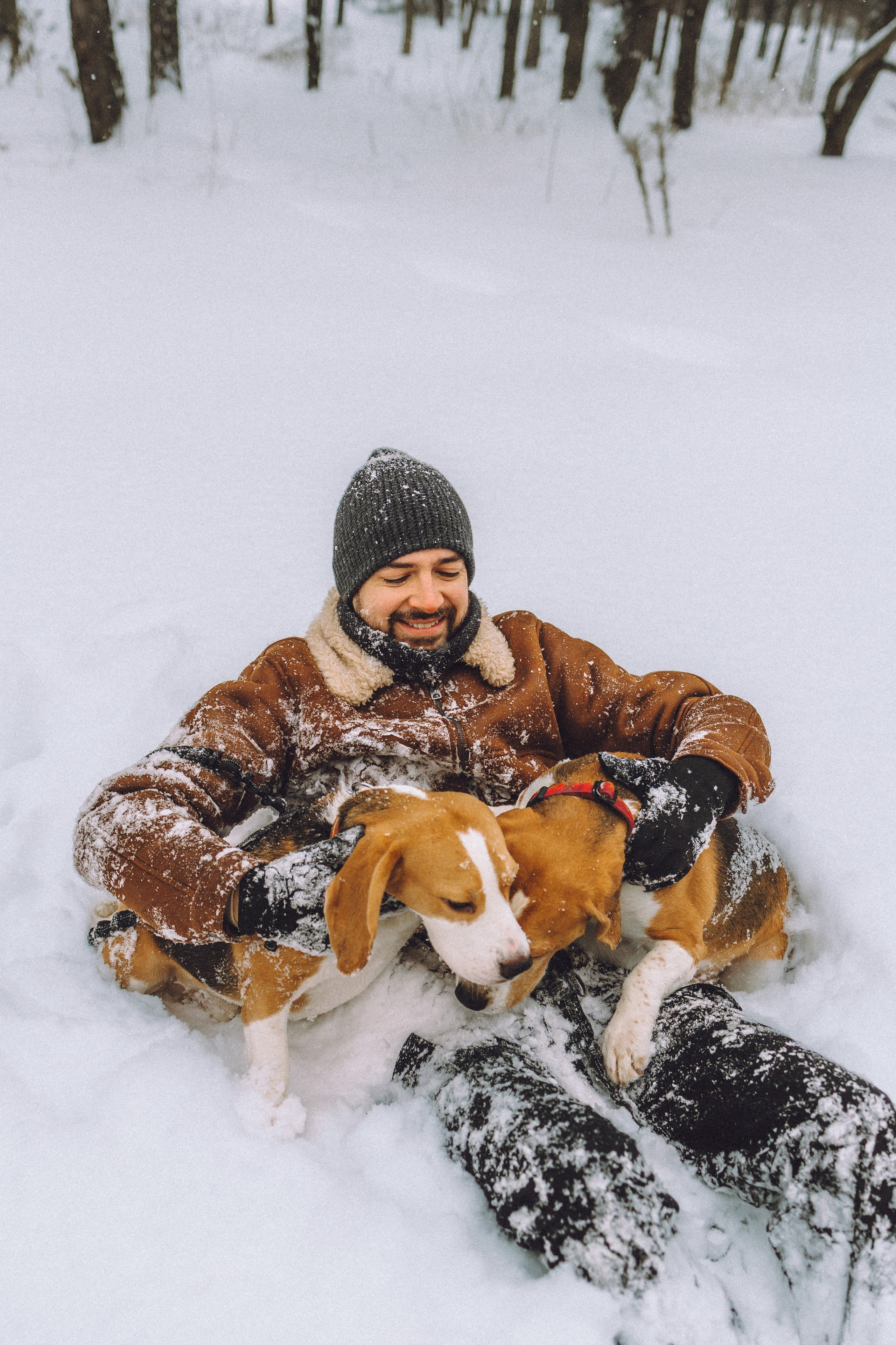 Роман, Портер и Коррес