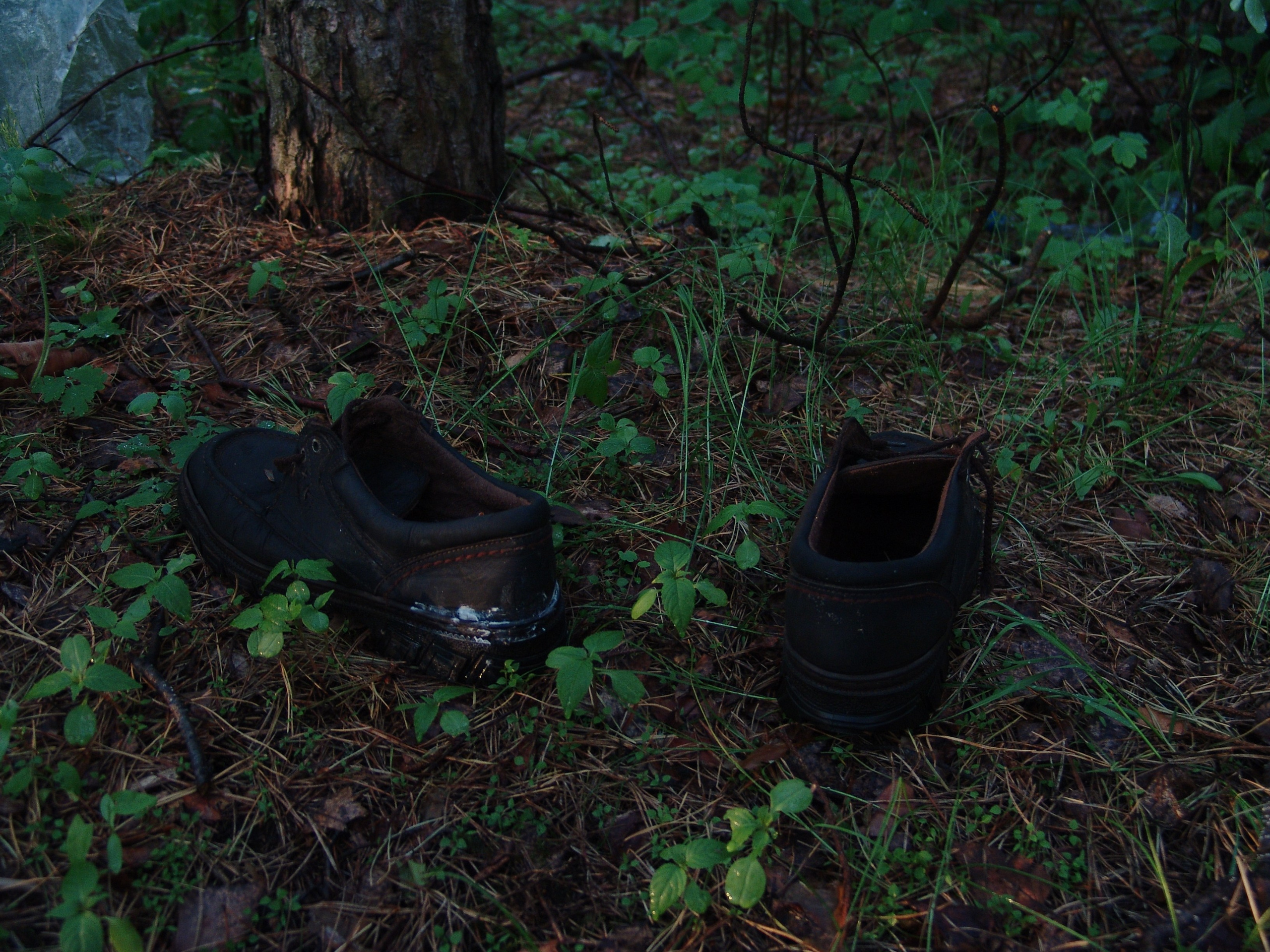 Приезд КС 2005. Заставка