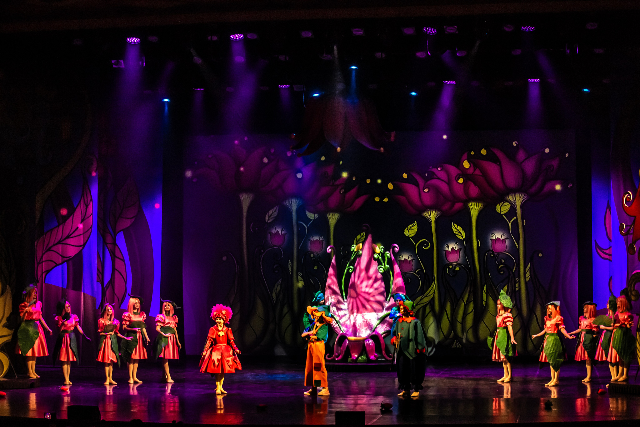 Мюзикл «Незнайка в царстве малюток» премьера Сочи солнышки и Сочи Соло. Фотограф в Сочи Юрий Шептаев