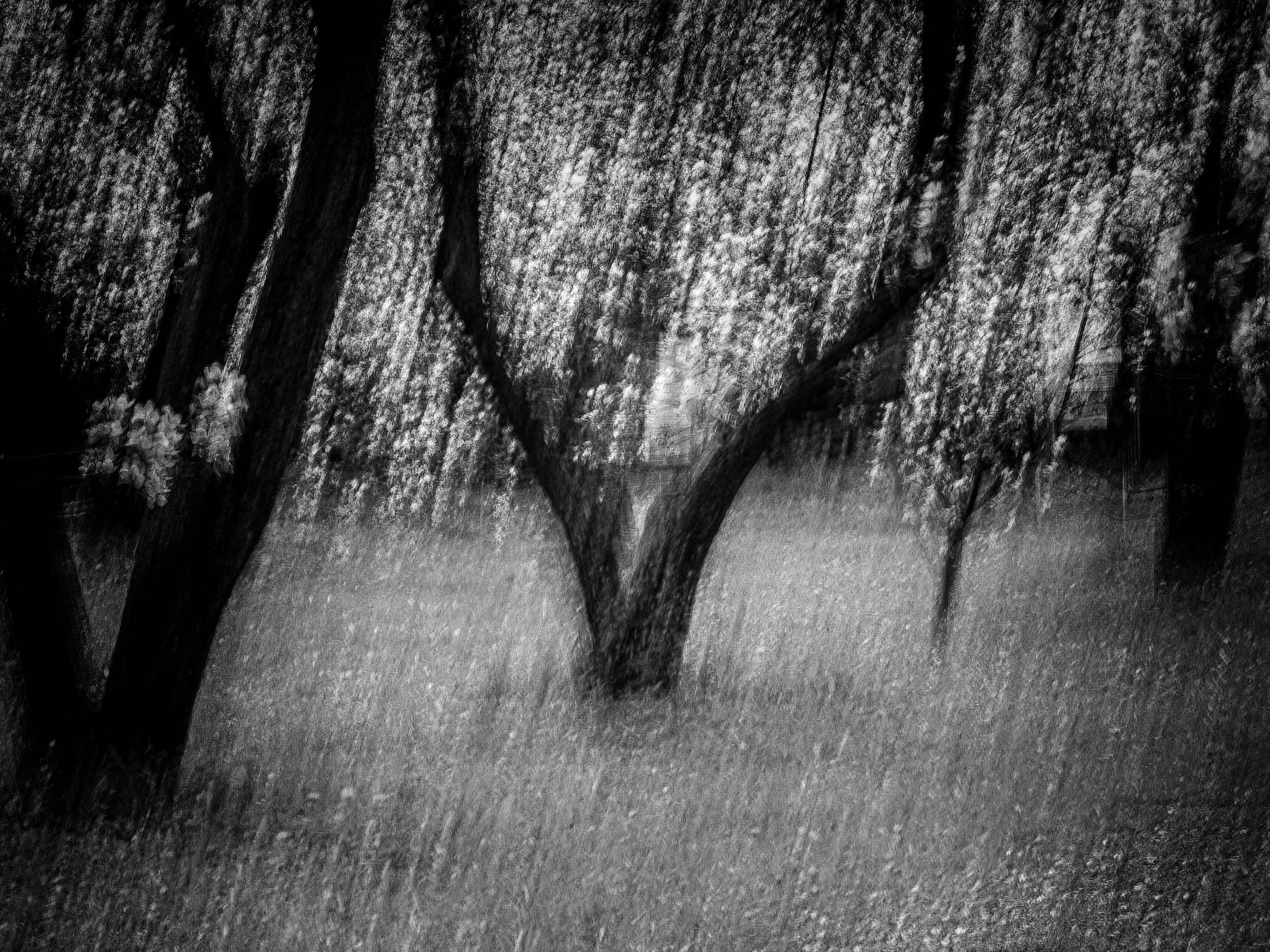 Разное. Сайт московского фотографа Дениса Иванова