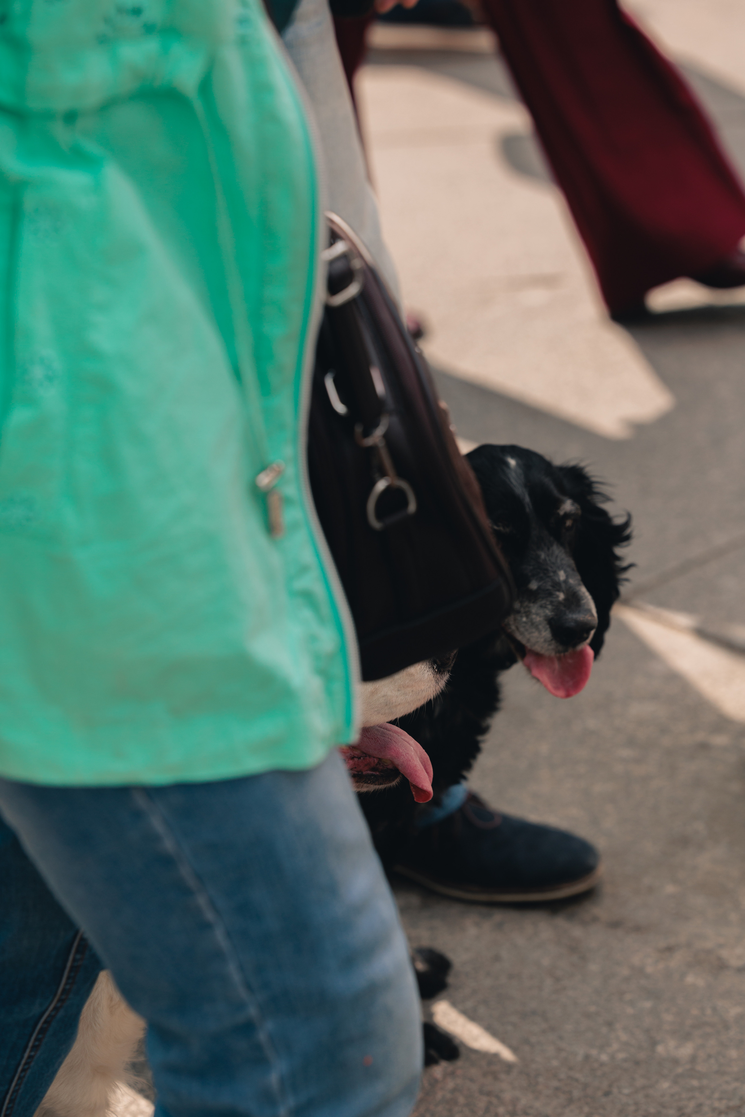 Стиль Санкт Петербурга. Фотографирую стиль
