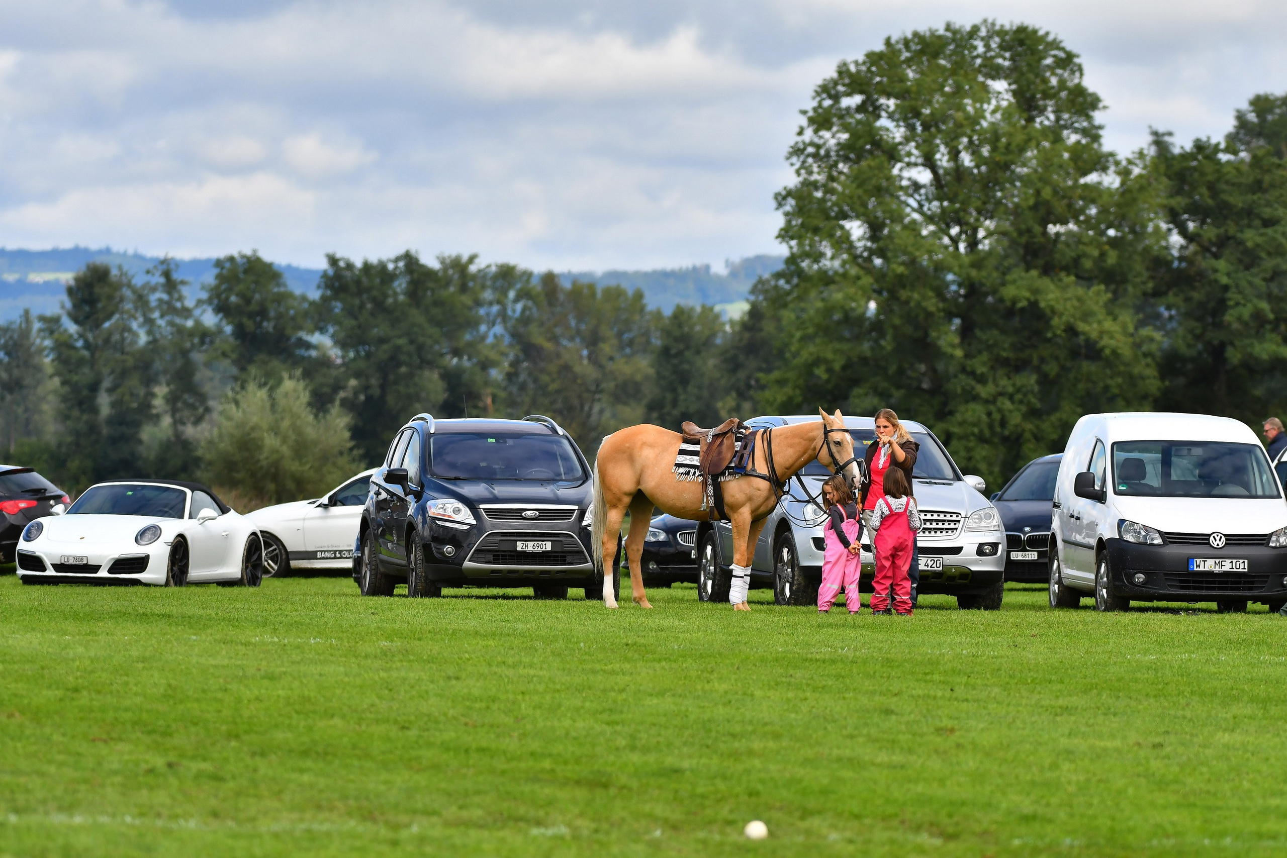 Polo art photos. Art photos of horses — ARTUR BABOEV | Photographer