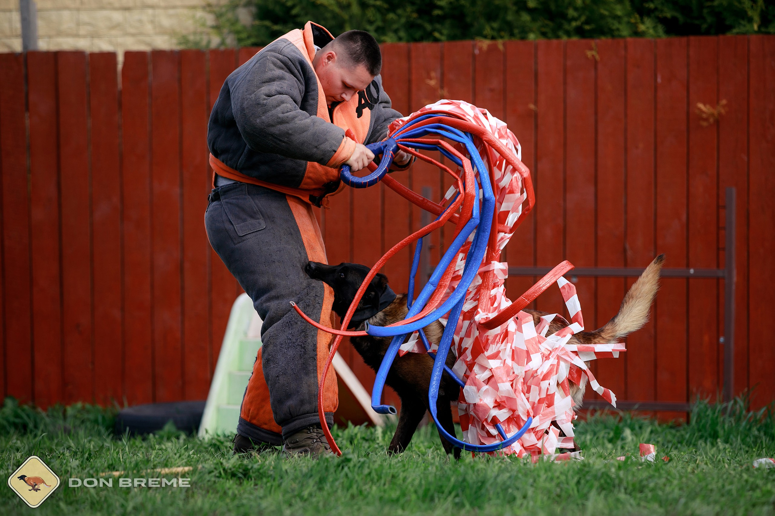Семинар для фигурантов, день 2. Фотограф-анималист Mary Mart — Москва, Питер