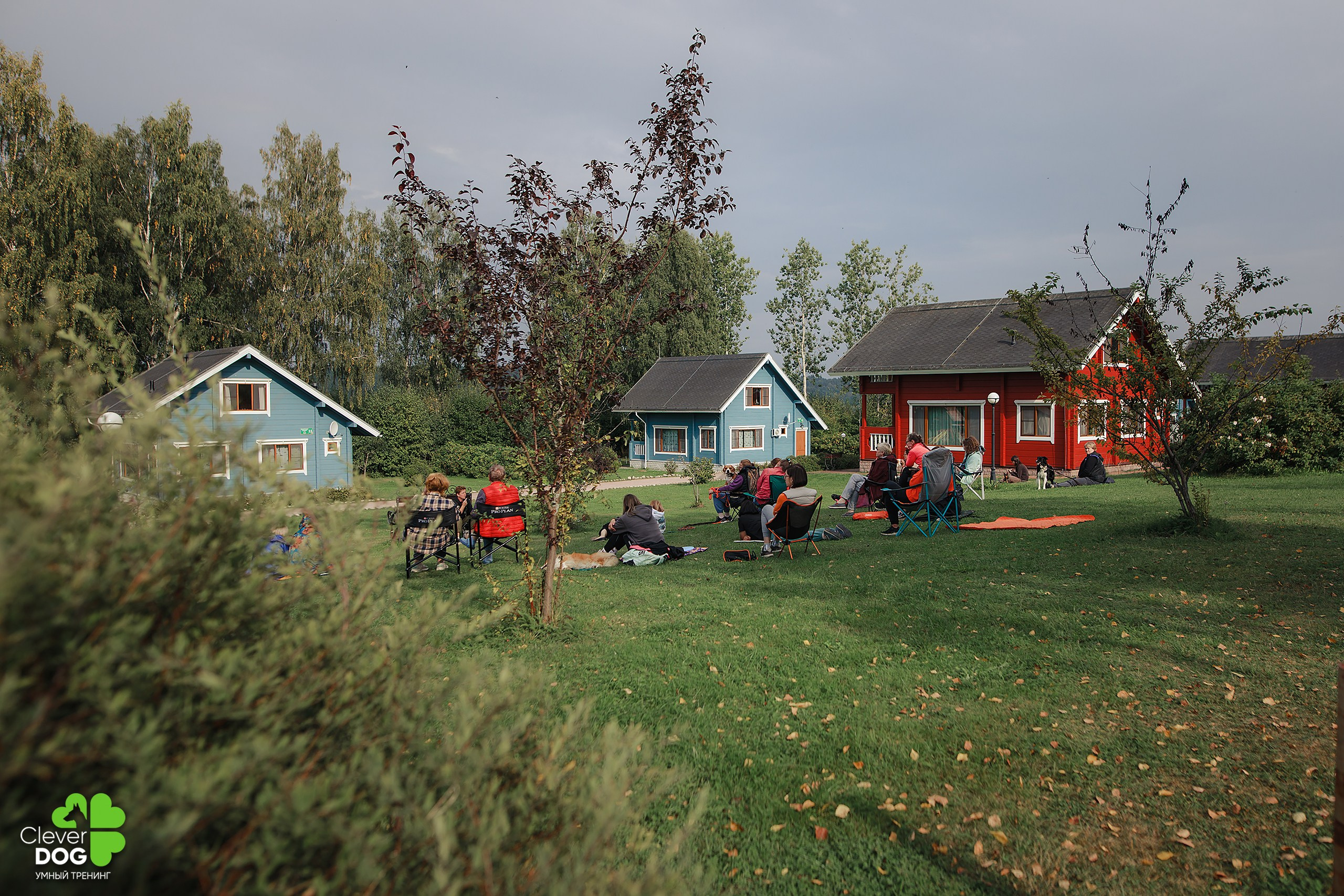 Кинологический лагерь CleverDog, 2024. Фотограф-анималист Mary Mart — Москва, Питер