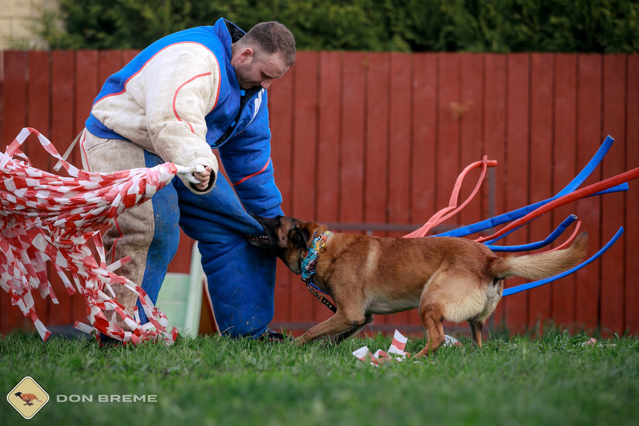 Семинар для фигурантов, день 2. Фотограф-анималист Mary Mart — Москва, Питер