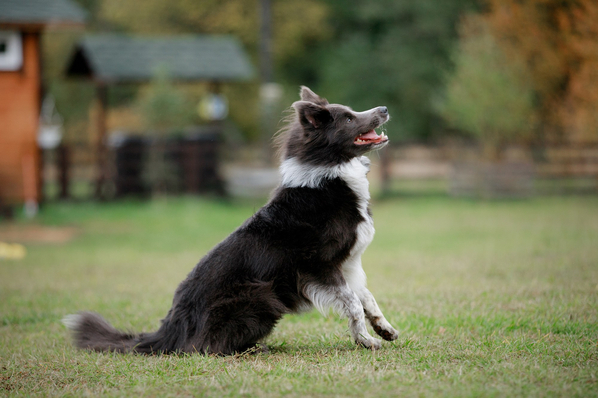 Лагерь по ОБД с Инной Баженовой. Фотограф-анималист Mary Mart — Москва, Питер