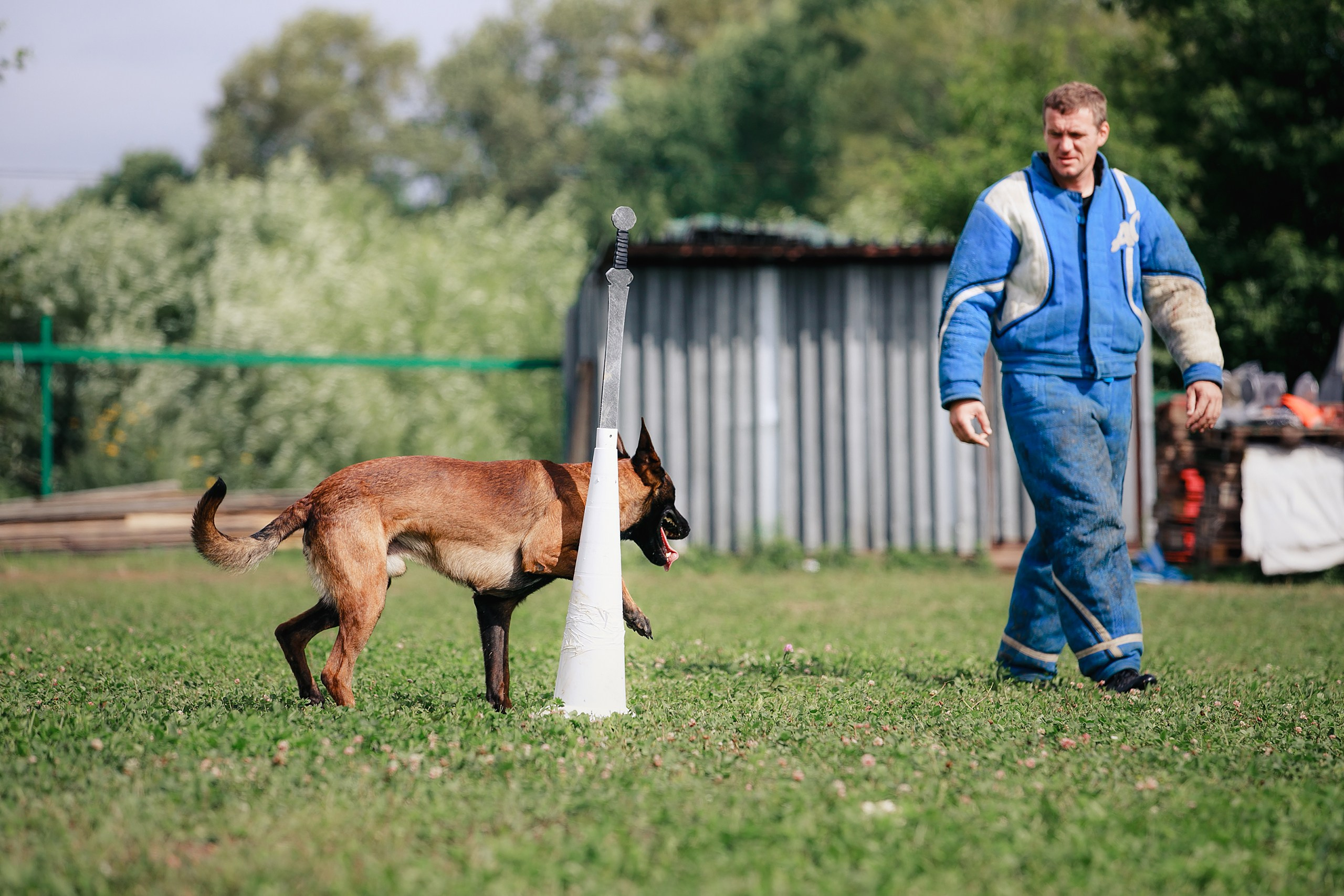Мондьоринг М1, М2, М3, Вологда. Фотограф-анималист Mary Mart — Москва, Питер