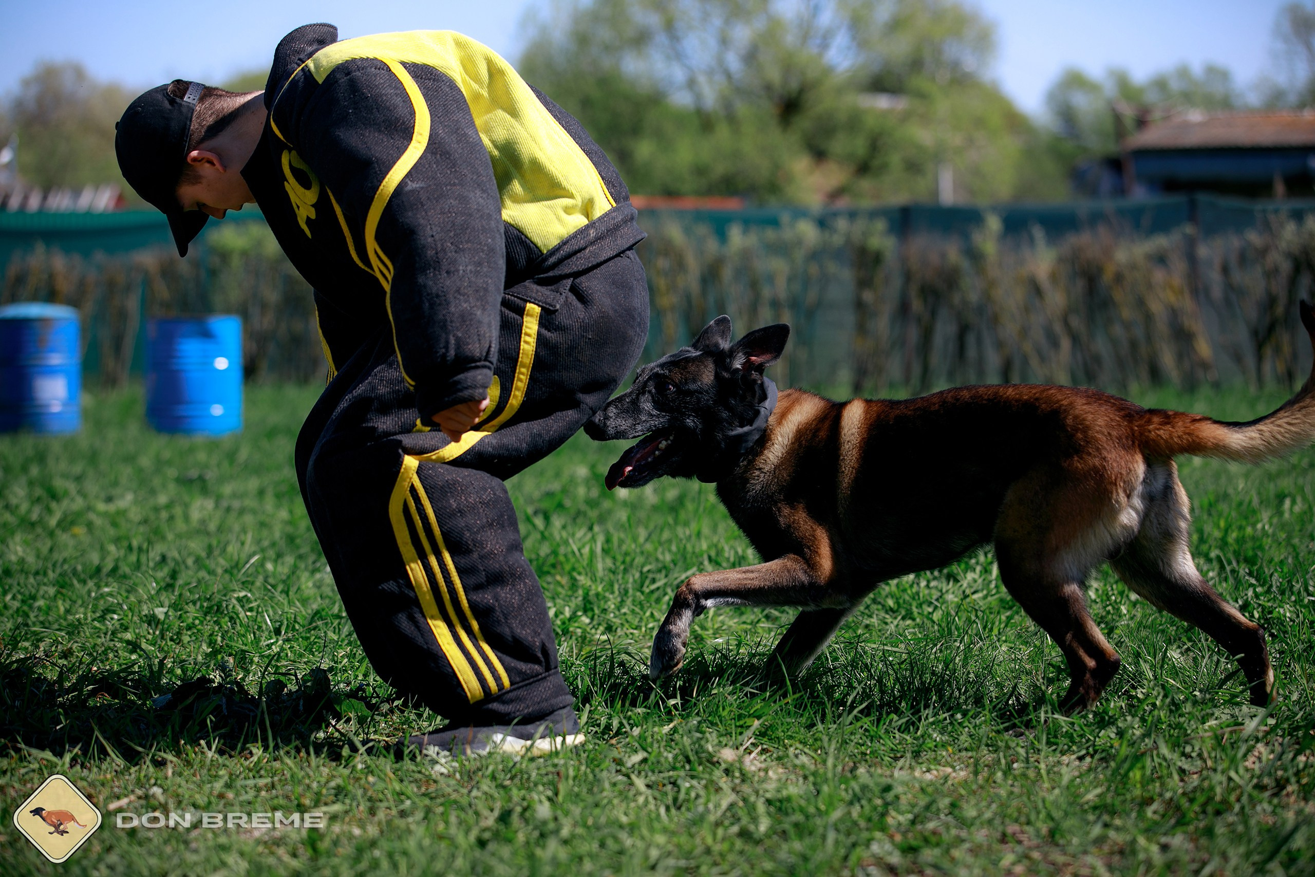 Семинар для фигурантов, день 3. Фотограф-анималист Mary Mart — Москва, Питер