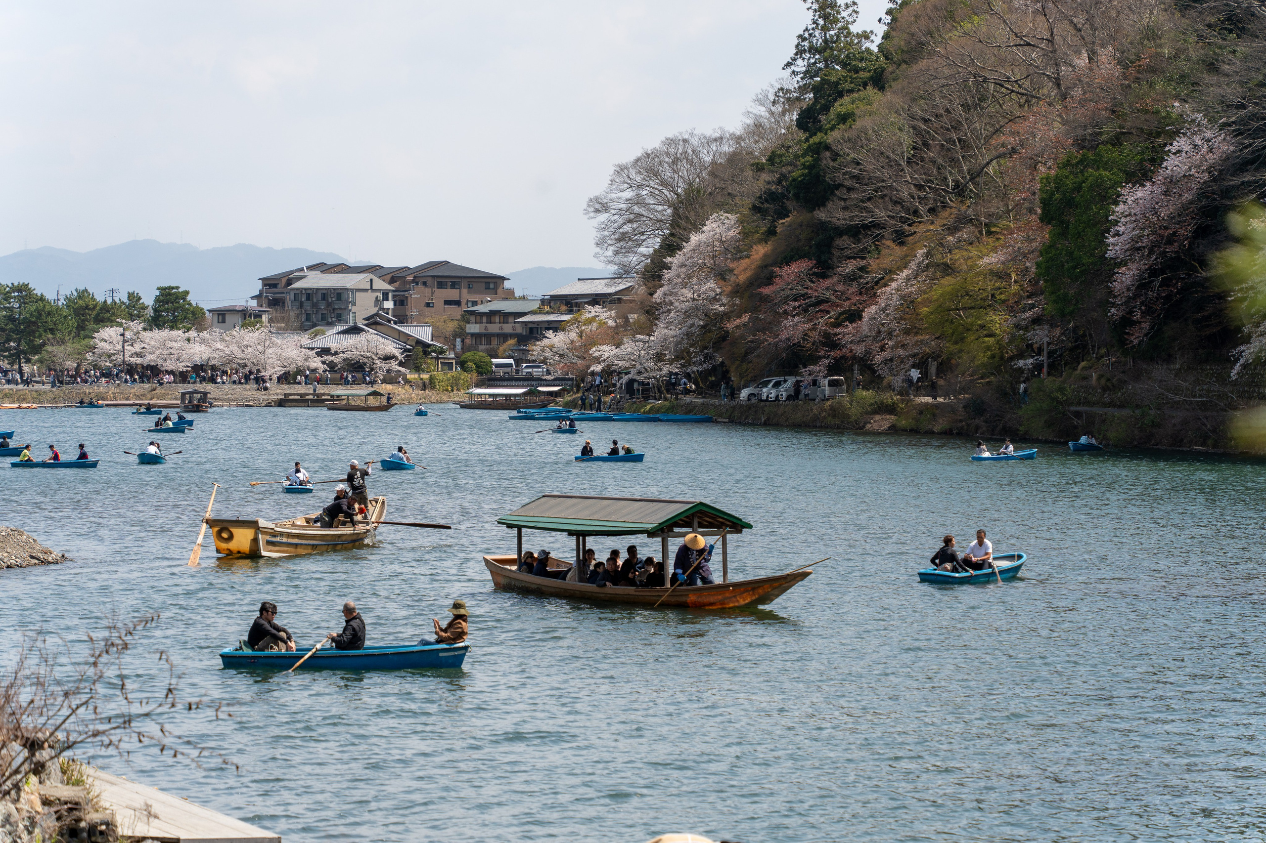 Япония, сакура. Творческие сьемки