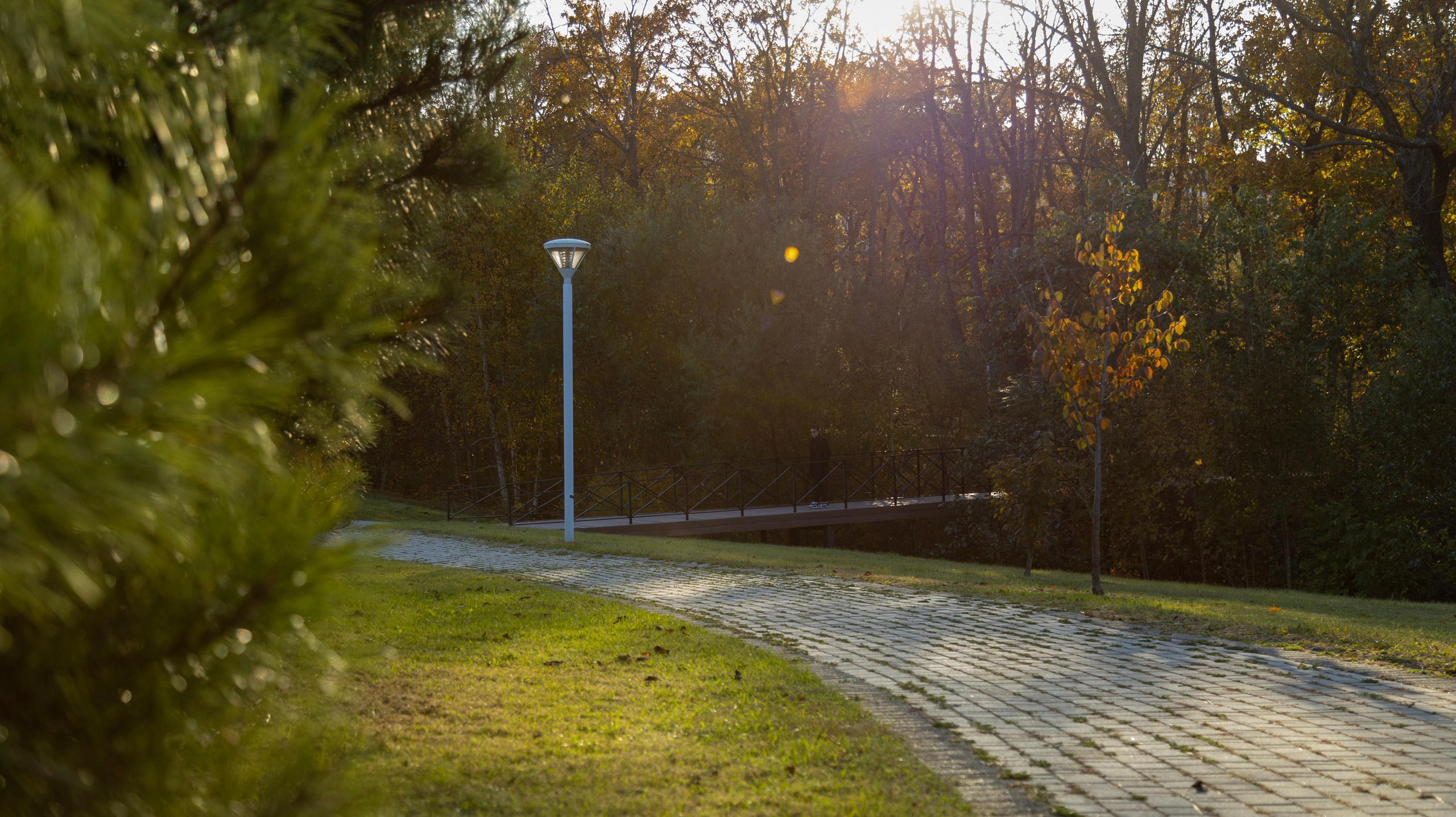 Портрет Осень в парке. Репортажный и портретный фотограф в Владивостоке