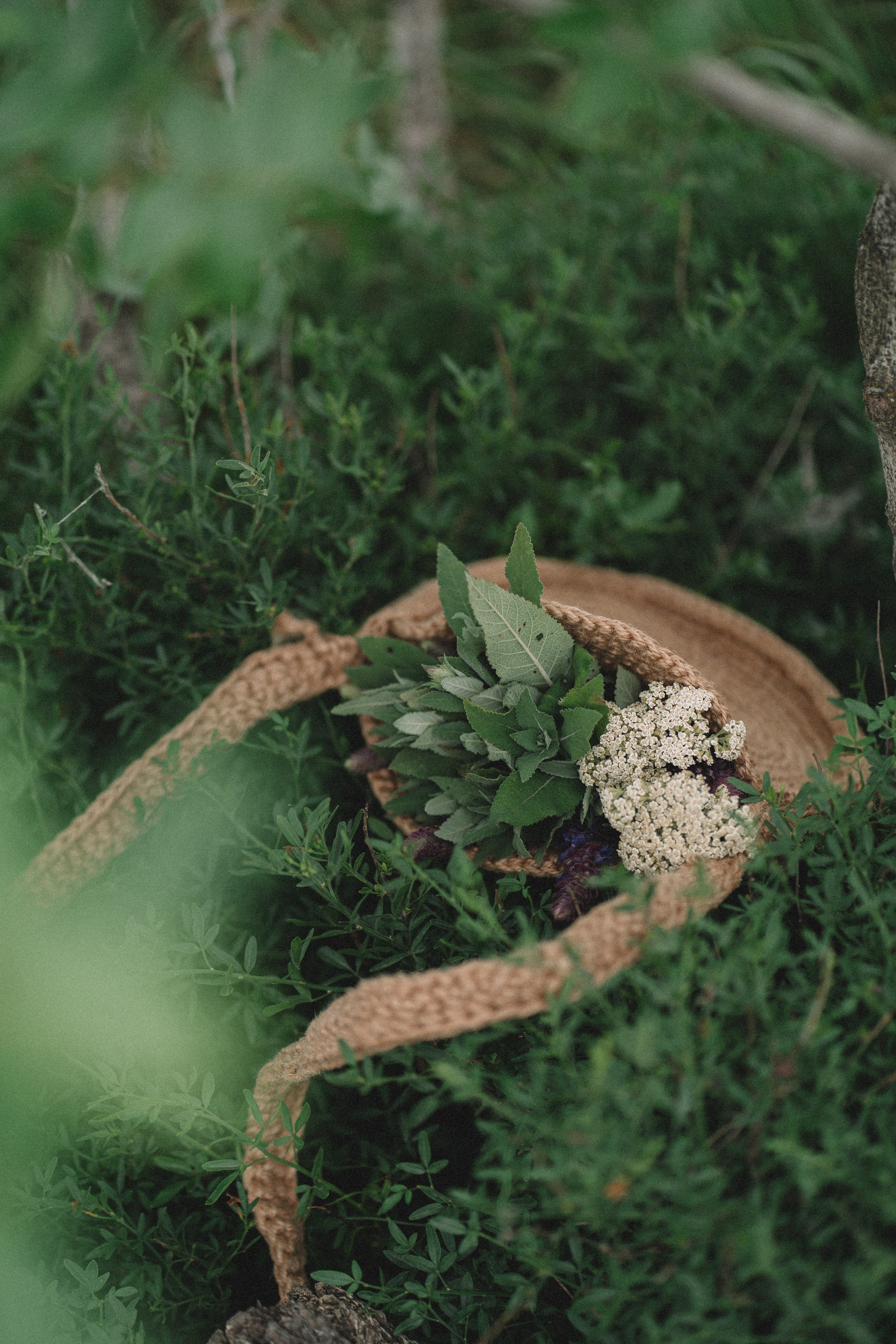 Boho. Фотограф в Анапе Муратова Анна