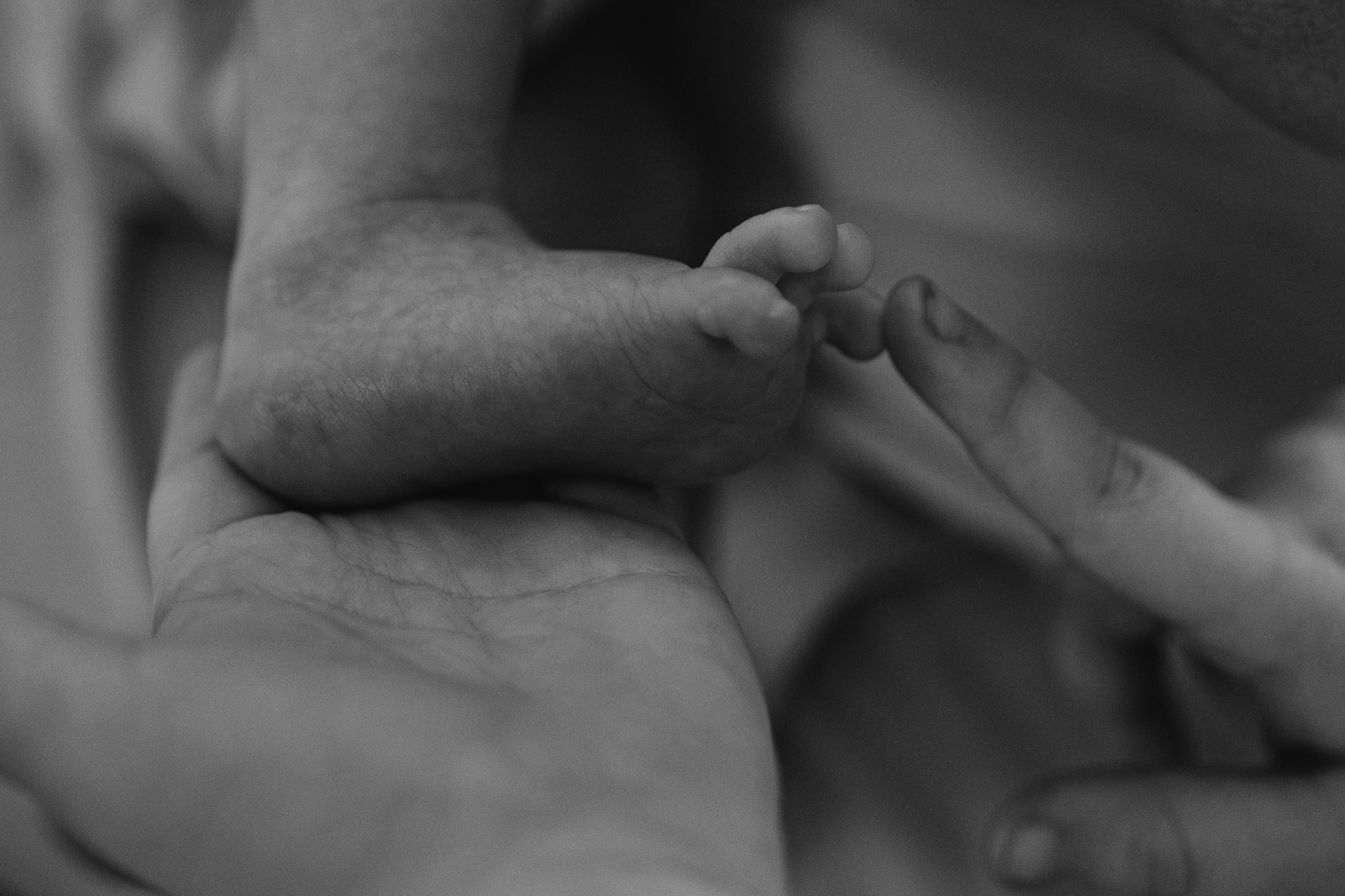 Лев. Гаврилова Настя семейный фотограф lifestyle в Москве