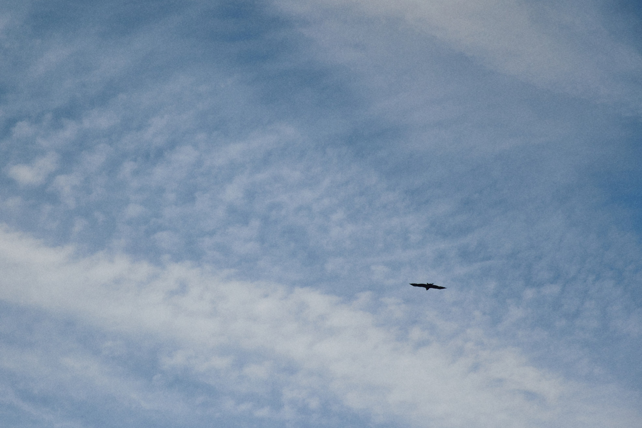 ALL IN ON LOVE. Дмитрий Мазуркевич: Профессиональный Репортажный Фотограф