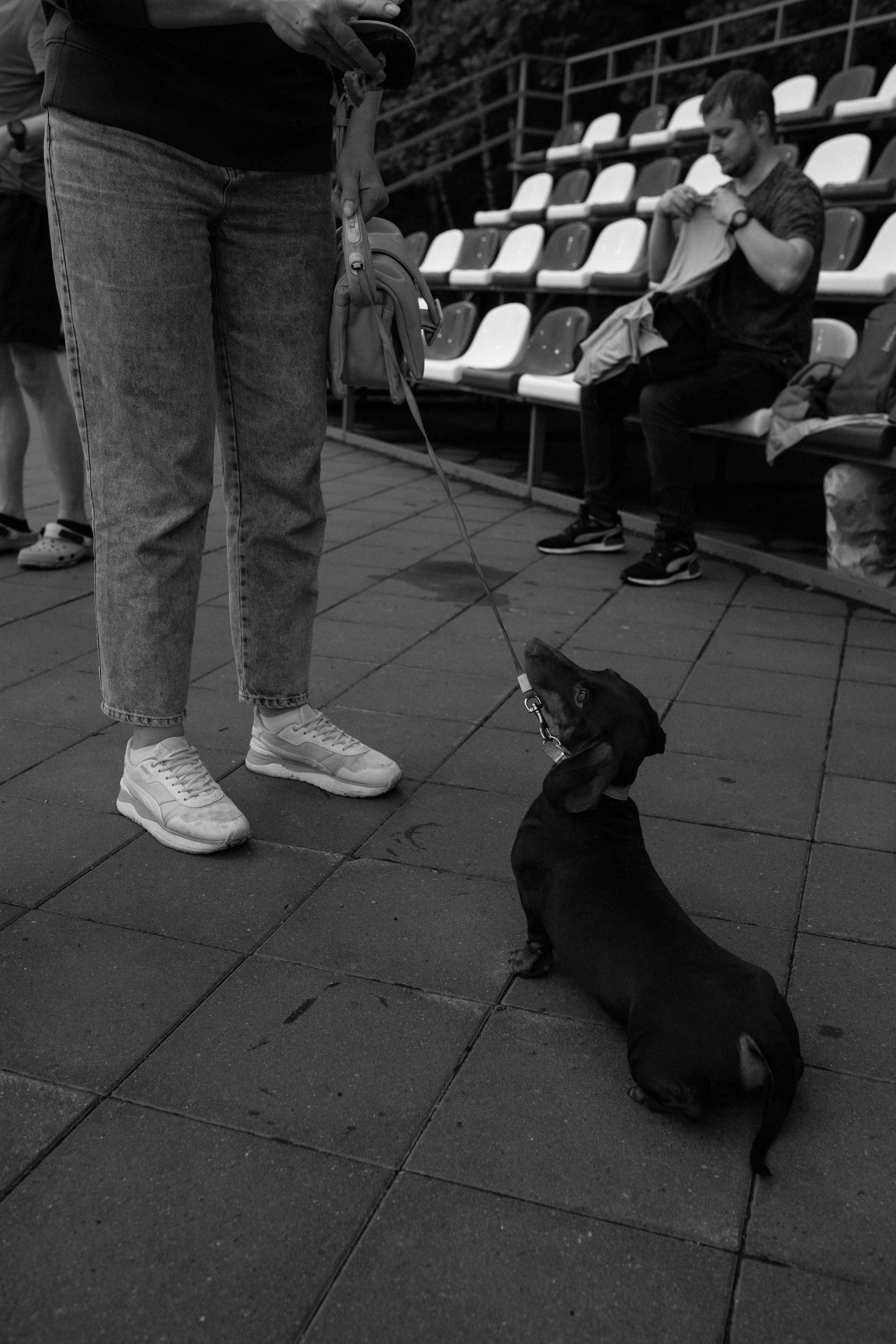 Тренировка сквозь призму чб. Александра Мельниченко/ Бегающий фотограф