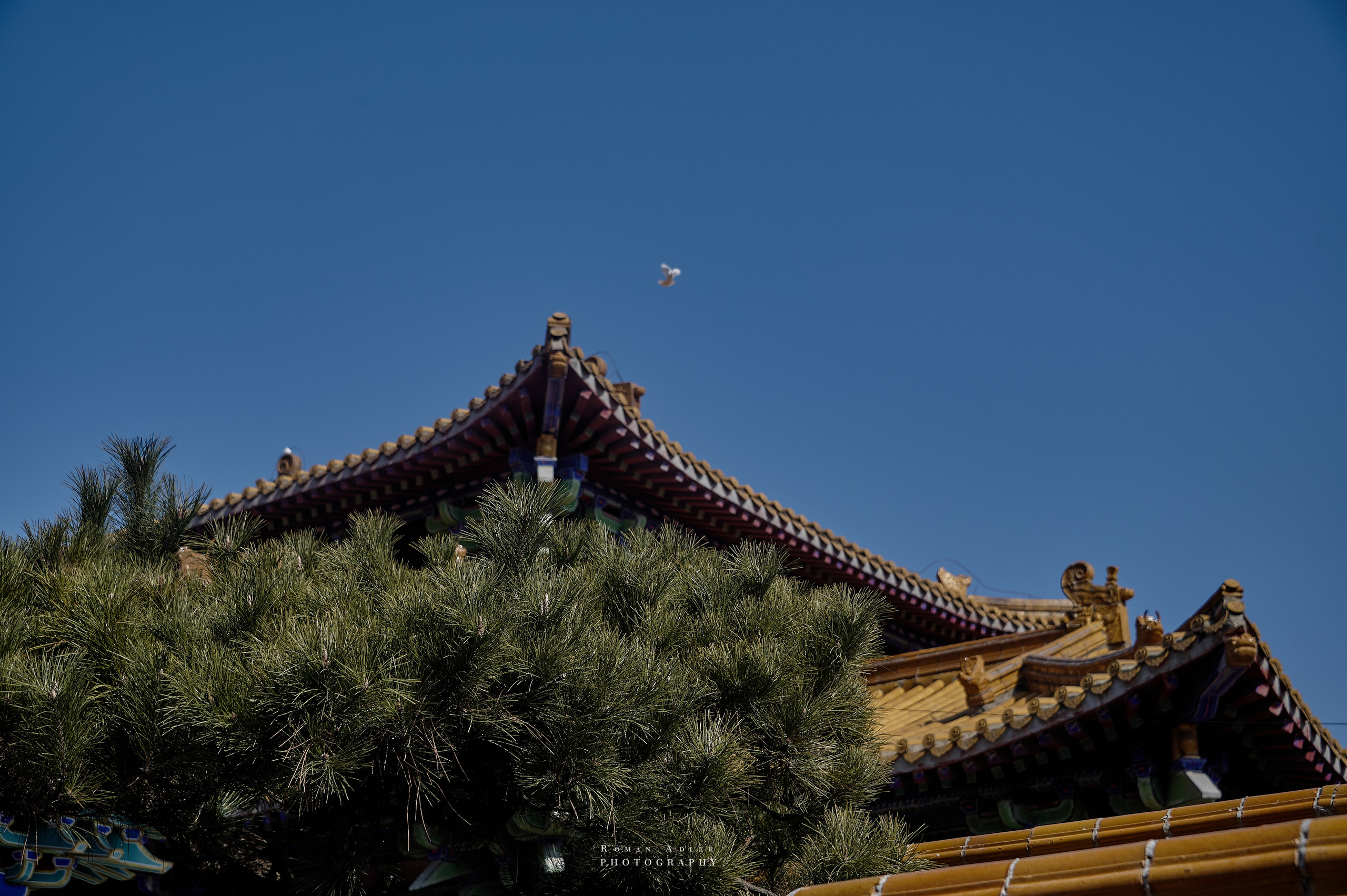 Храм Гуанфу (Процветания). Цинчжоу. Фотограф Роман Адлер