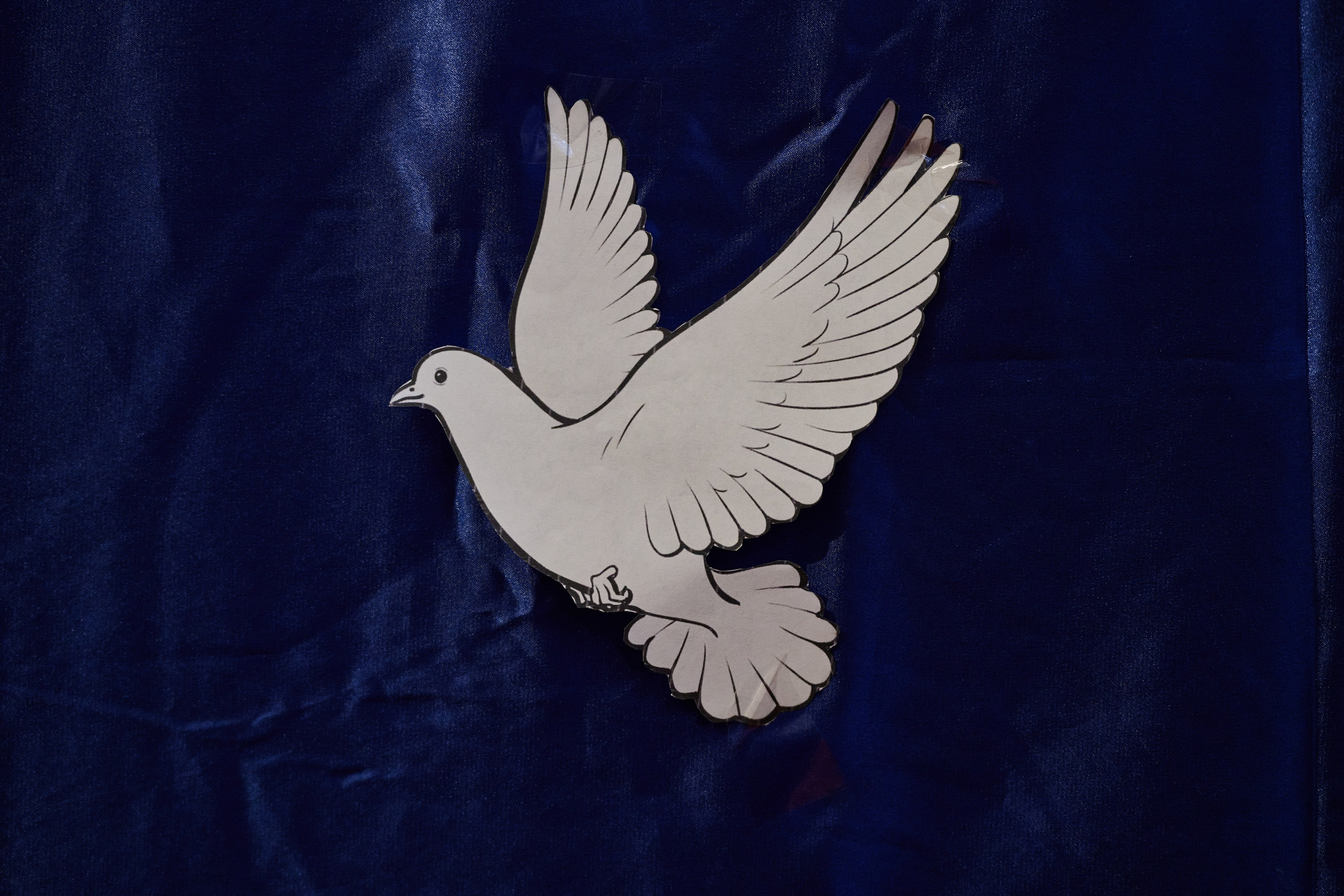 Краснореченское (Луганская область). Ноябрь 2024. Фотограф Роман Адлер