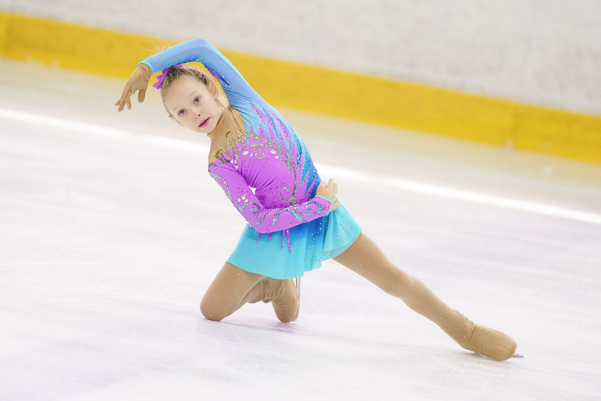 Соревнования ФКК «Майские звезды». Фотомастерская Воробьевых