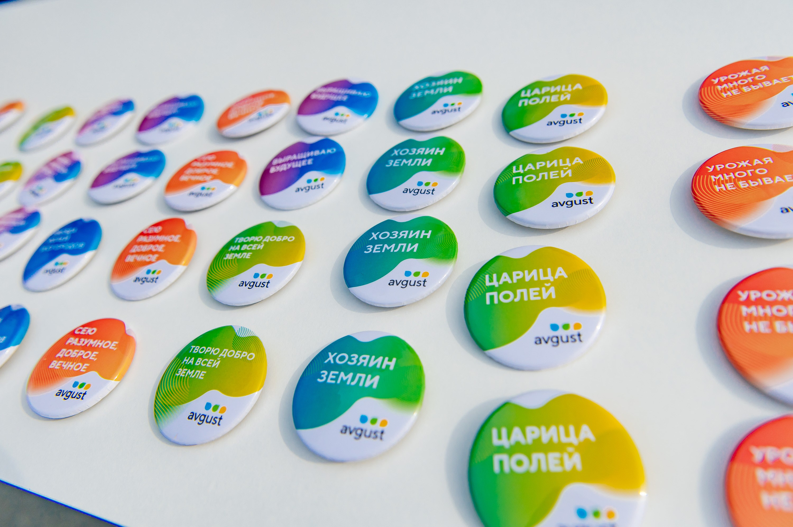 День поля. Главная