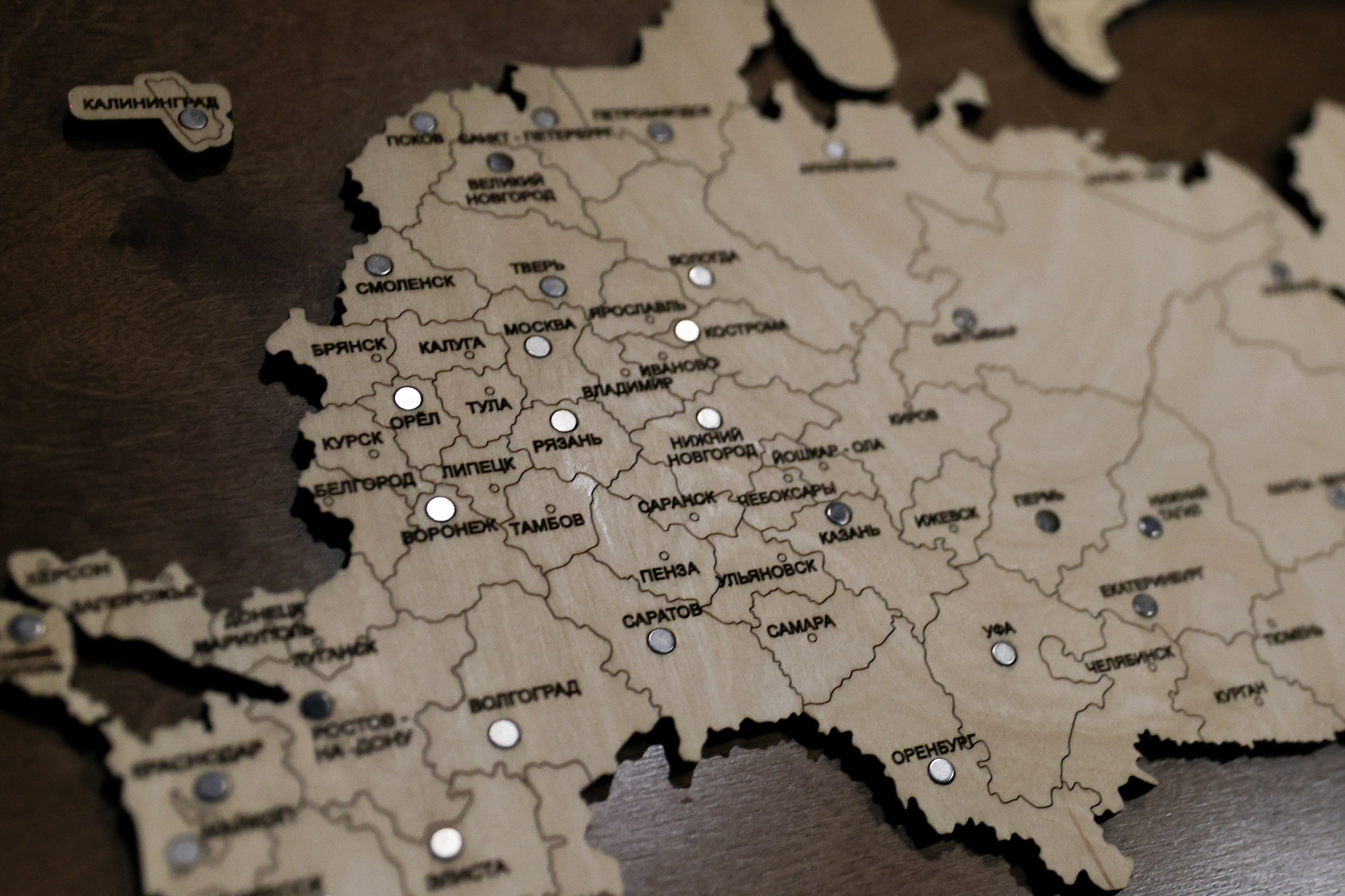 Ёлки. Свадебный фотограф Москва Анна Шилова