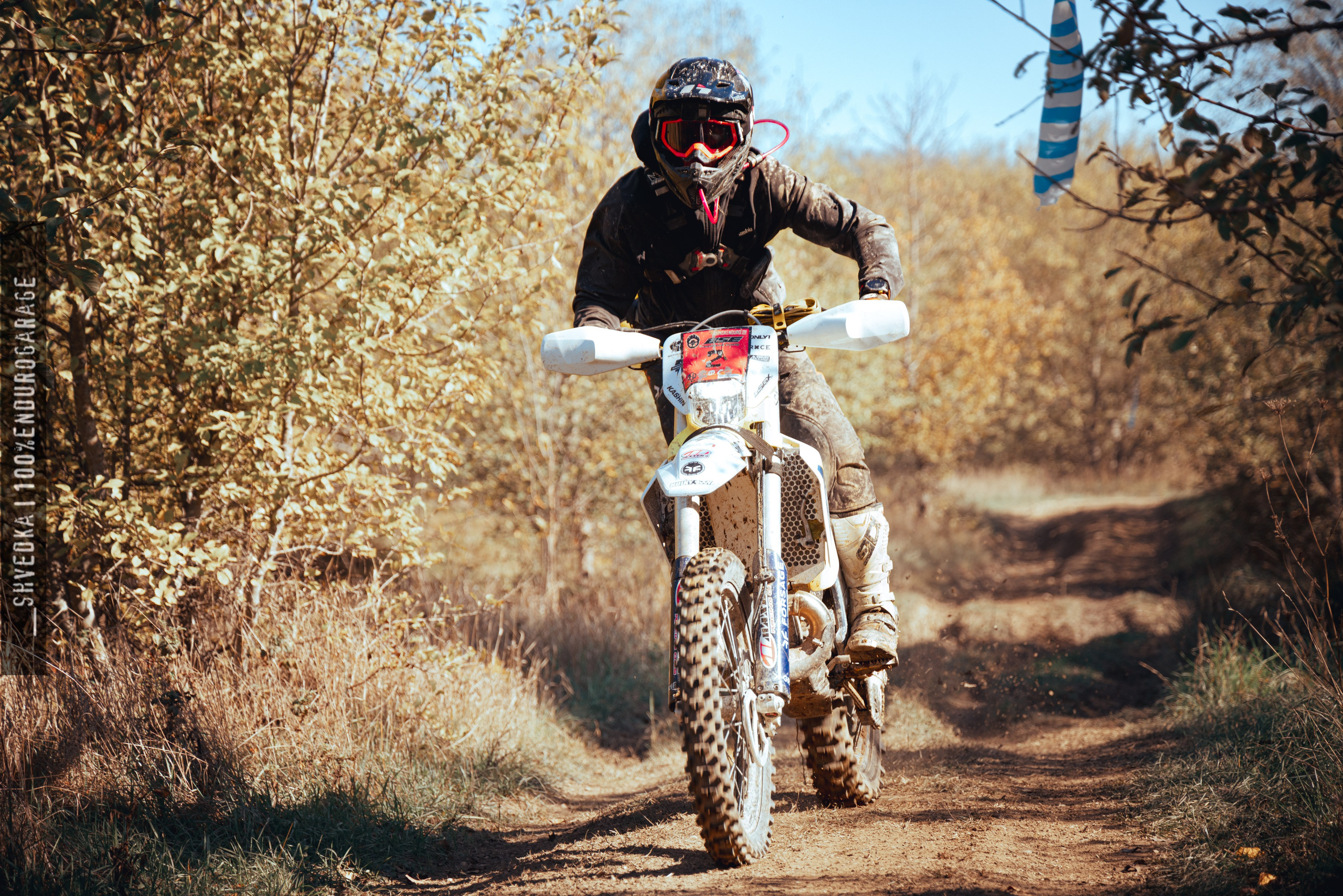 2 ЛЕСНОЙ ДЕНЬ ФИНИШ. Ваш экстрим фотограф Кудрева Яна