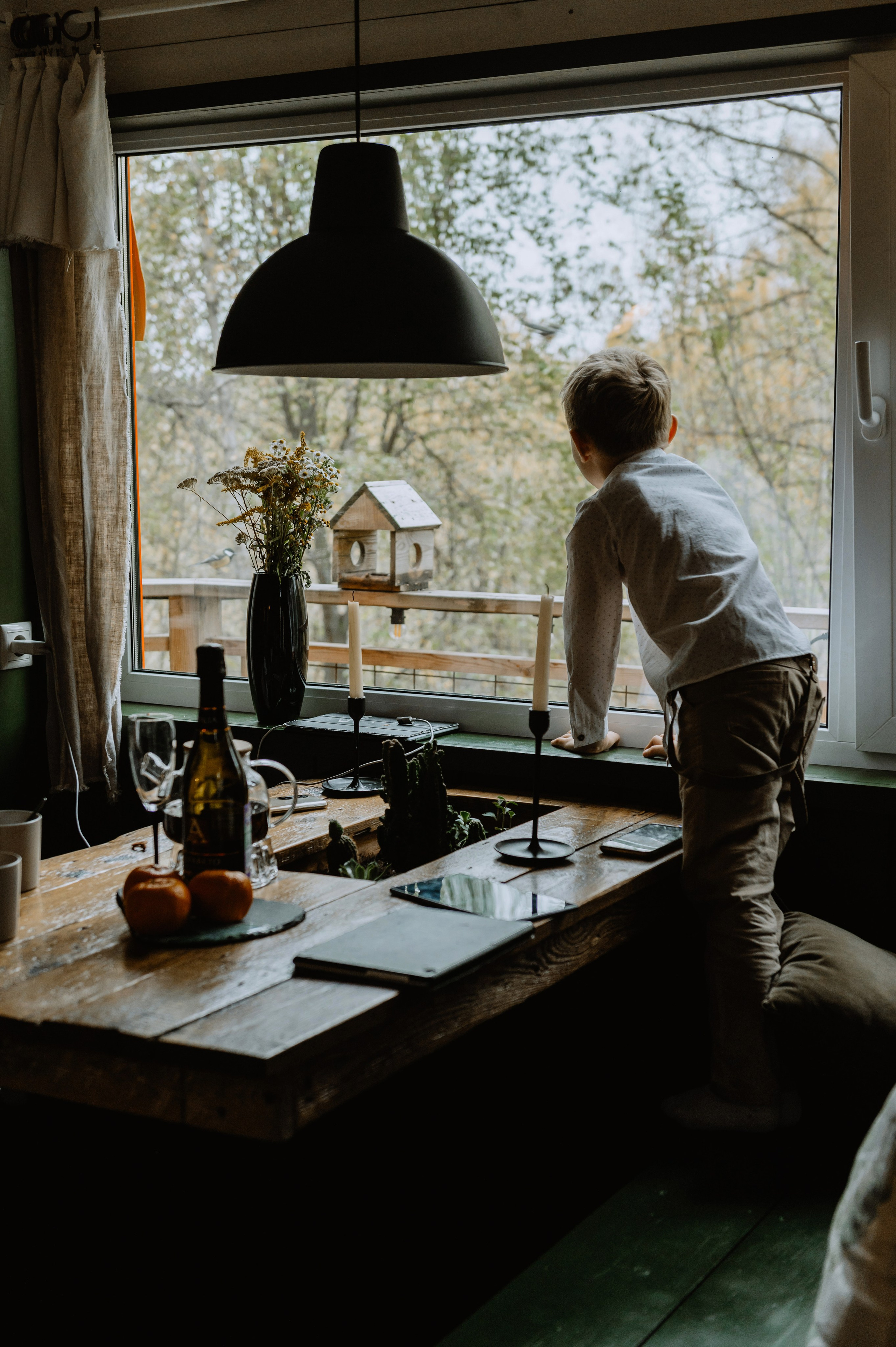 Папин дом на дереве. Свадебный и семейный фотограф в Тульской области Пашкова Екатерина