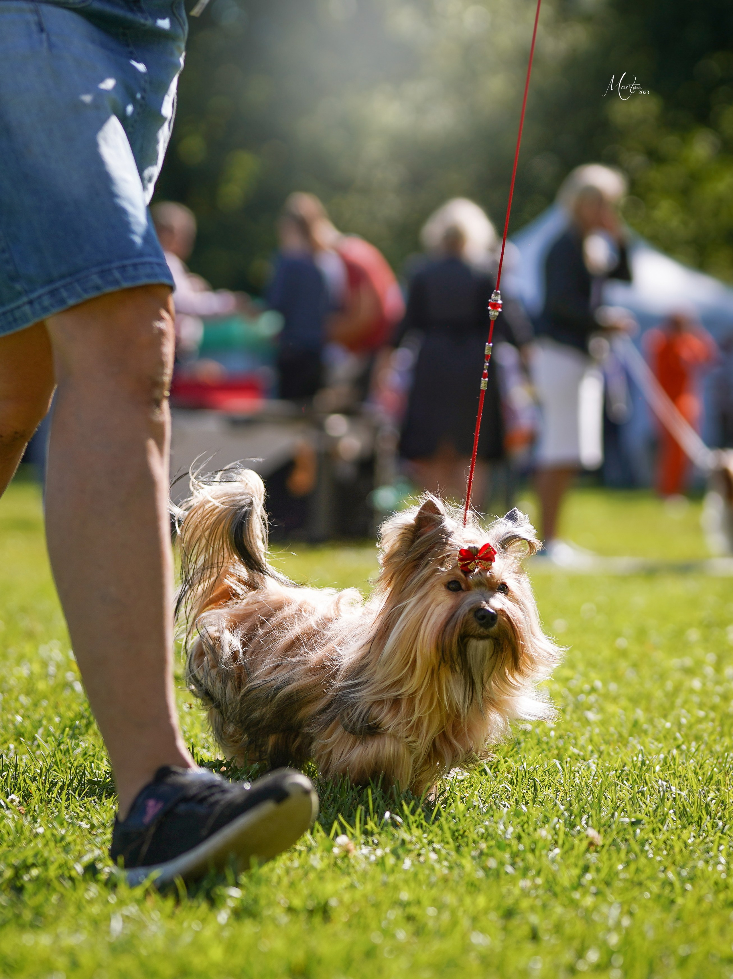 Выставки 2023. Фотограф-анималист в Санкт-Петербурге Яна Мартынова