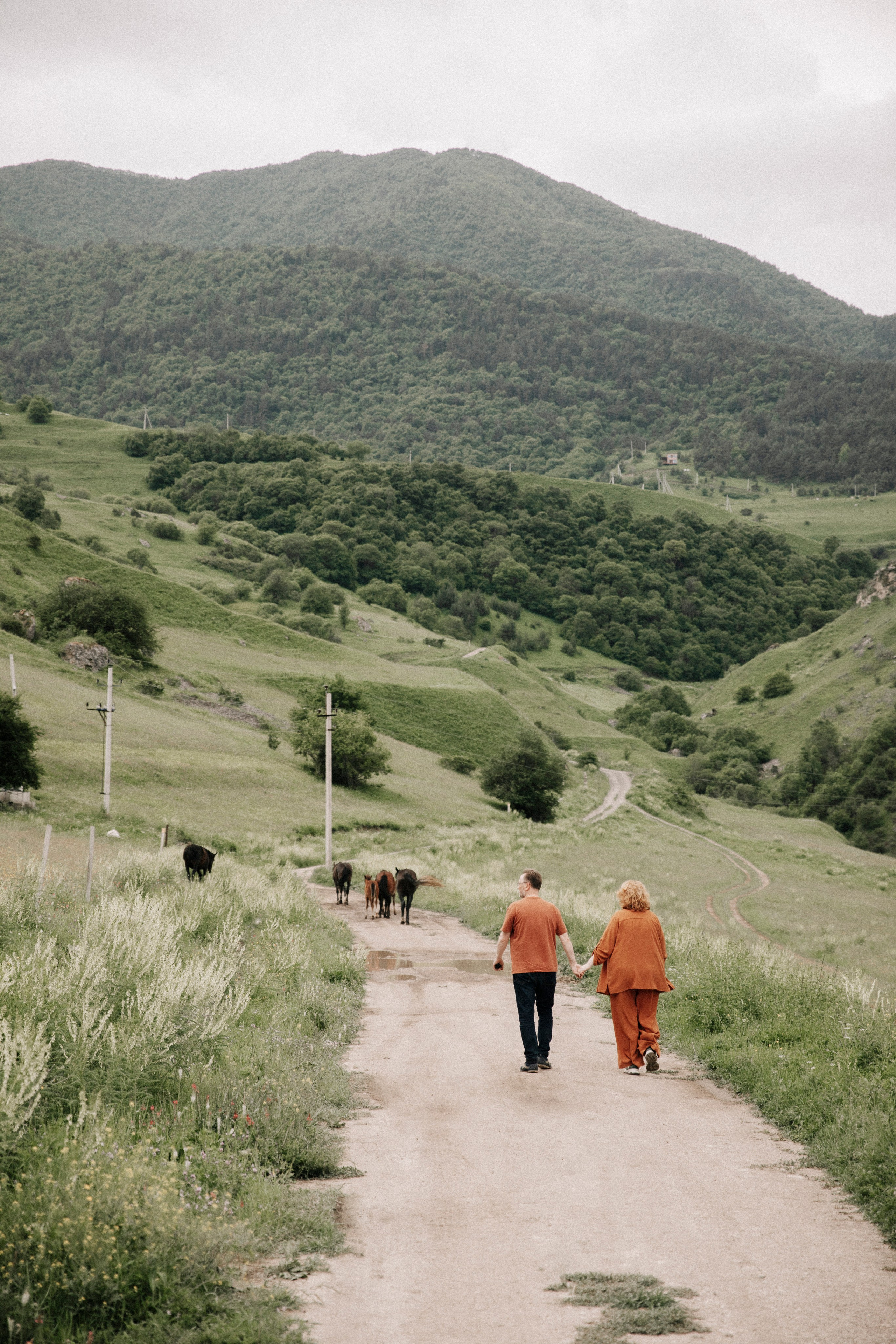 Туры / Экскурсии / Поездки / Мероприятия в горах