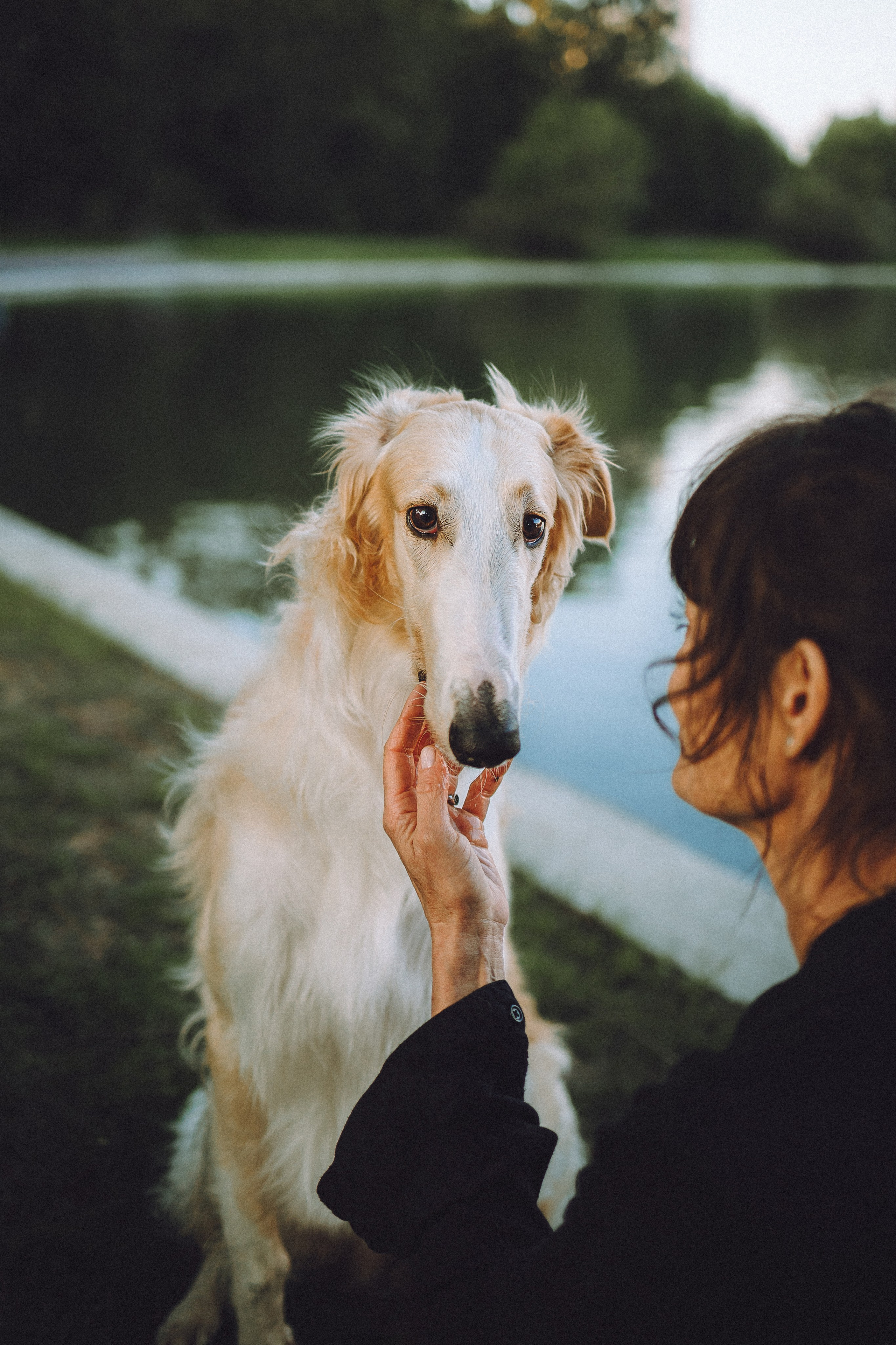 Илай, Зайка и их семья