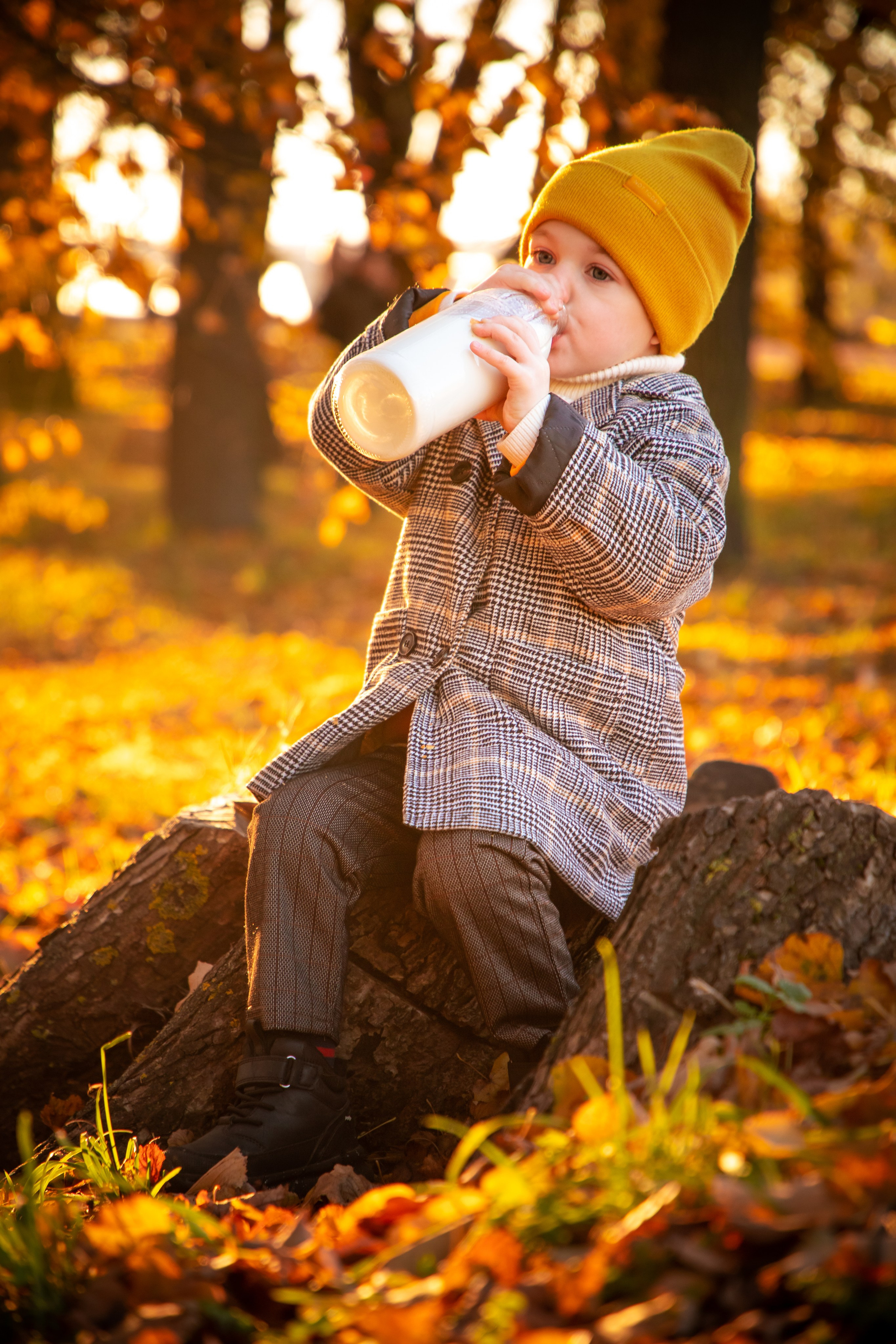 Осень. Фотограф Алексей Шуля — портфолио