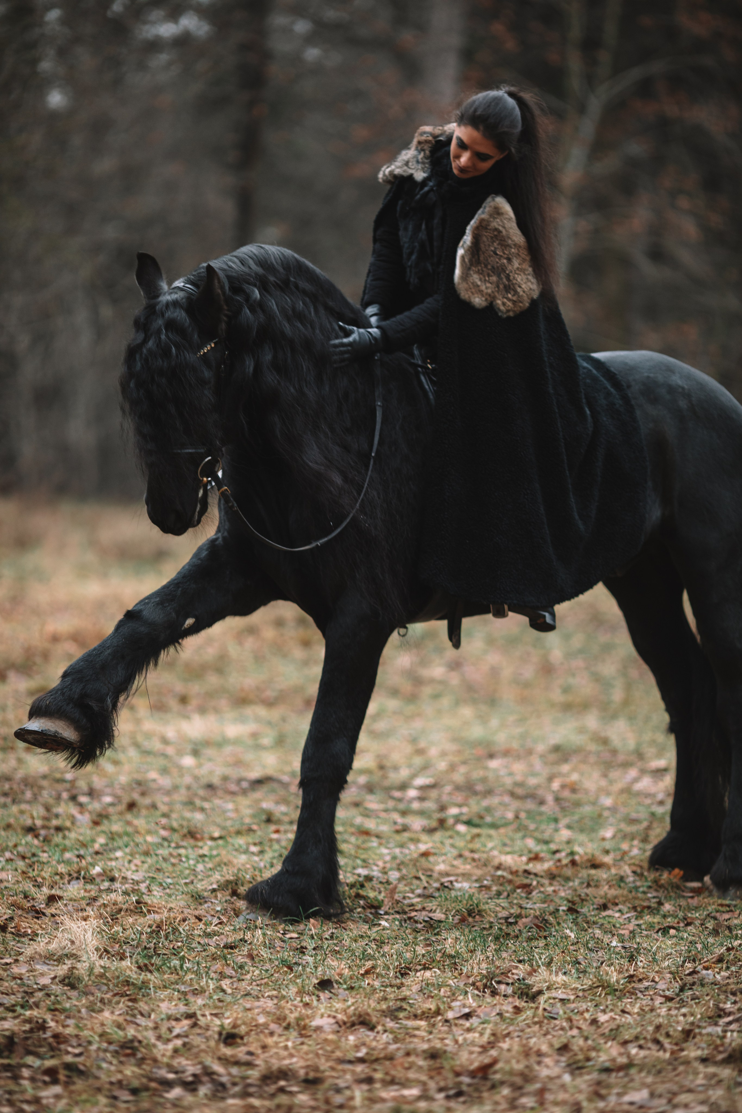 Наташа с фризом в костюме викинга. Фотосессии с лошадьми