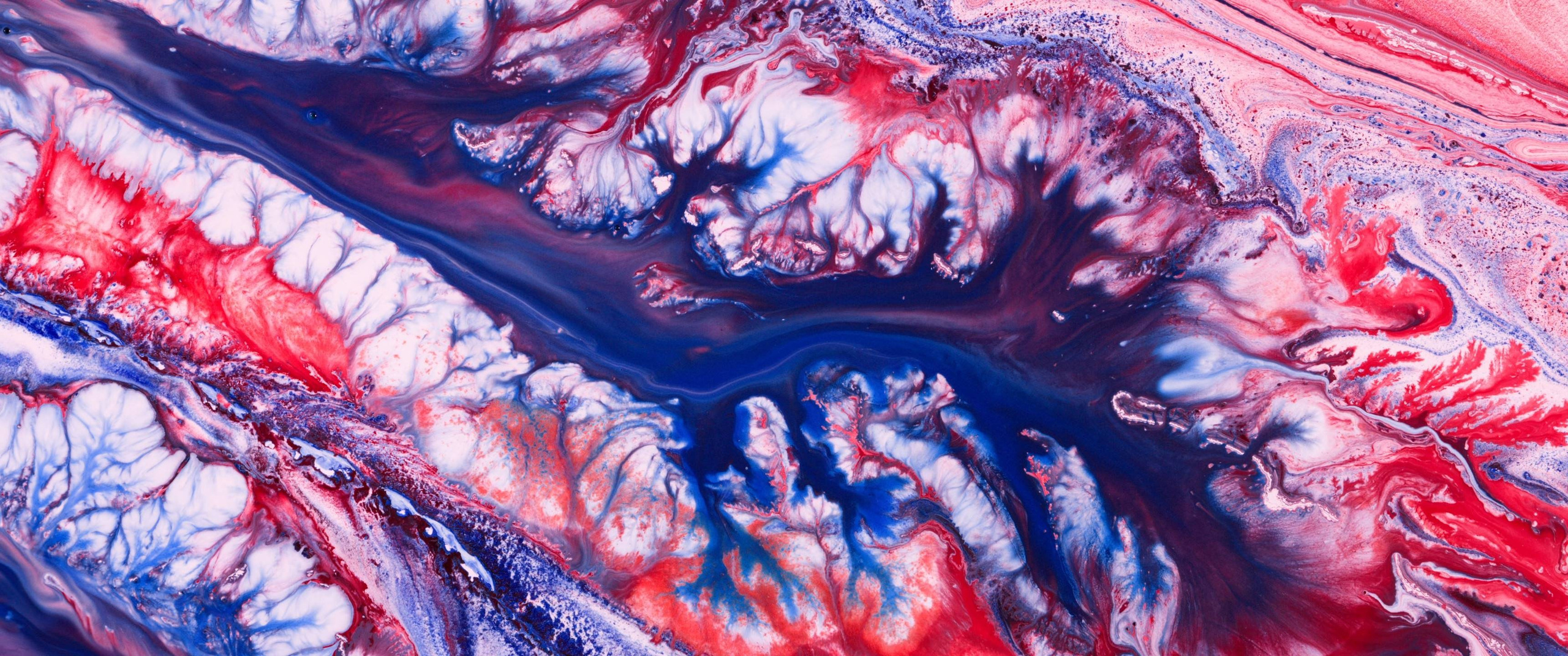 Genesis. Short films by Vadim Sherbakov